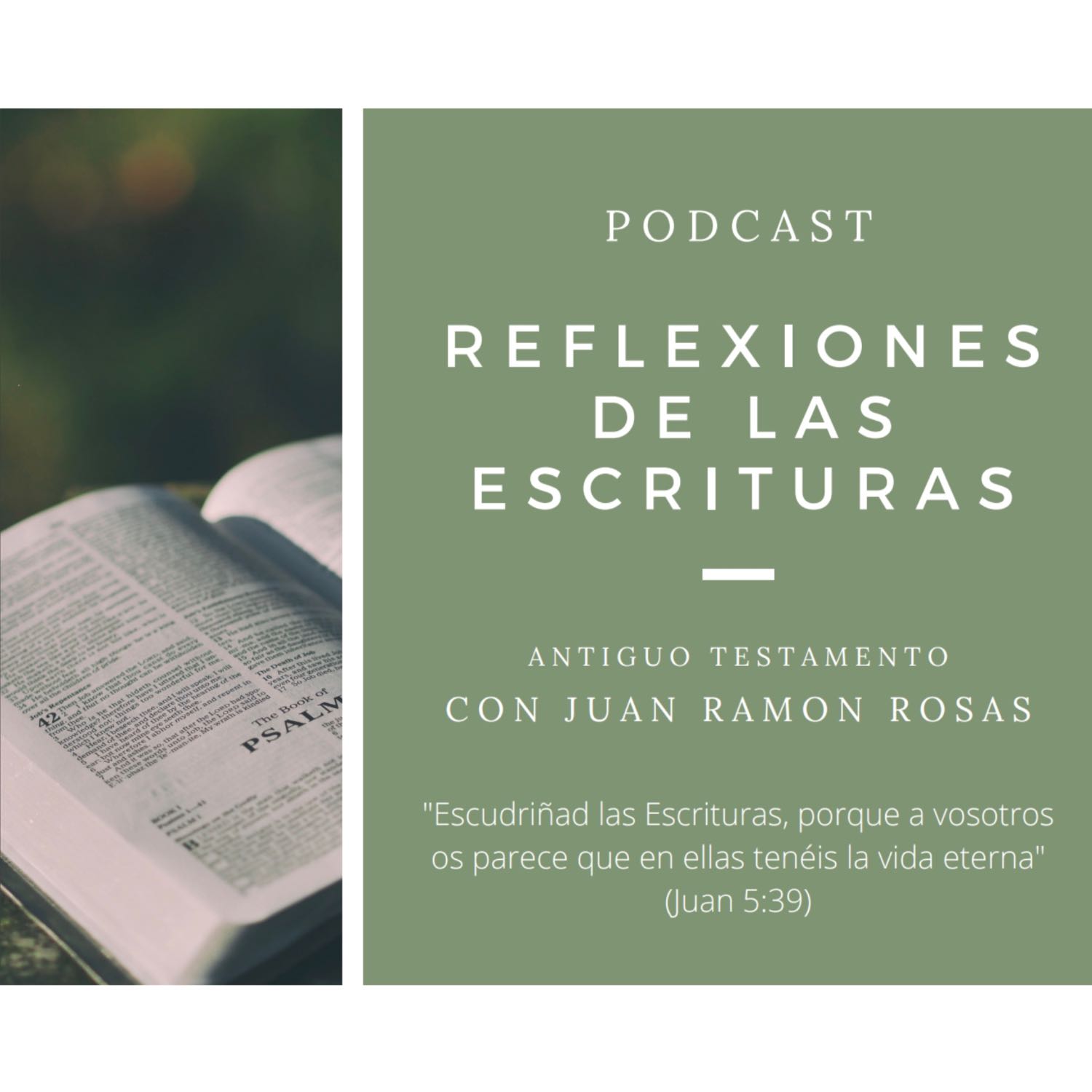 Reflexiones de las Escrituras: Doctrina y Convenios