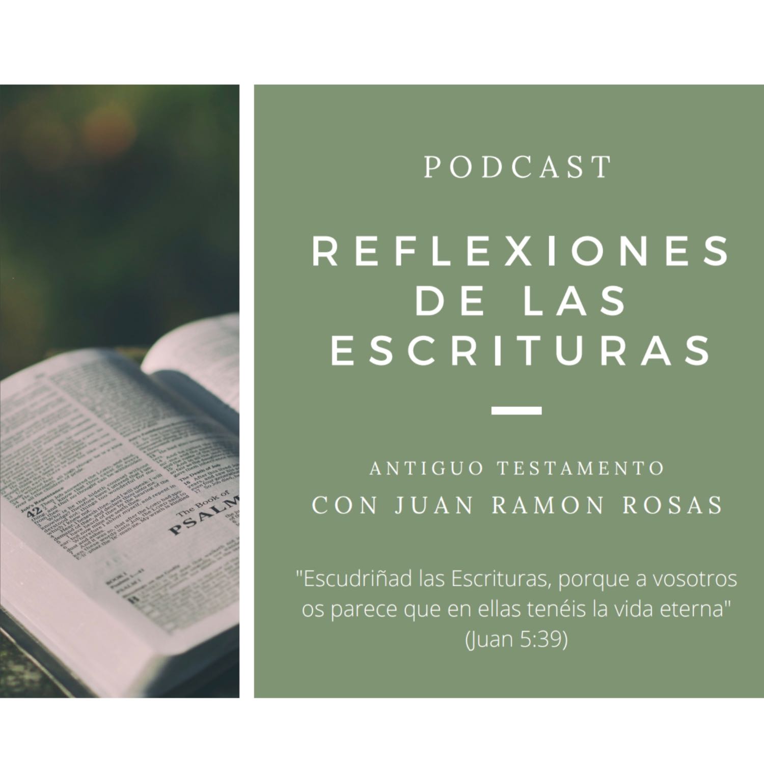 Reflexiones de las Escrituras: Doctrina y Convenios