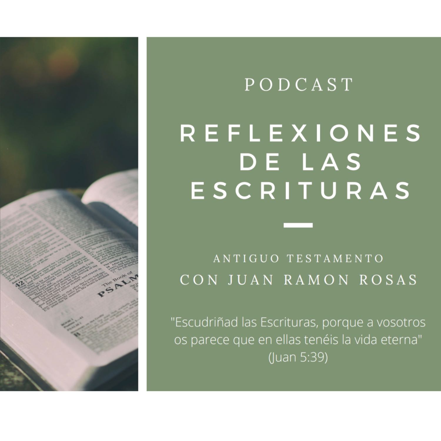 Reflexiones de las Escrituras: Doctrina y Convenios