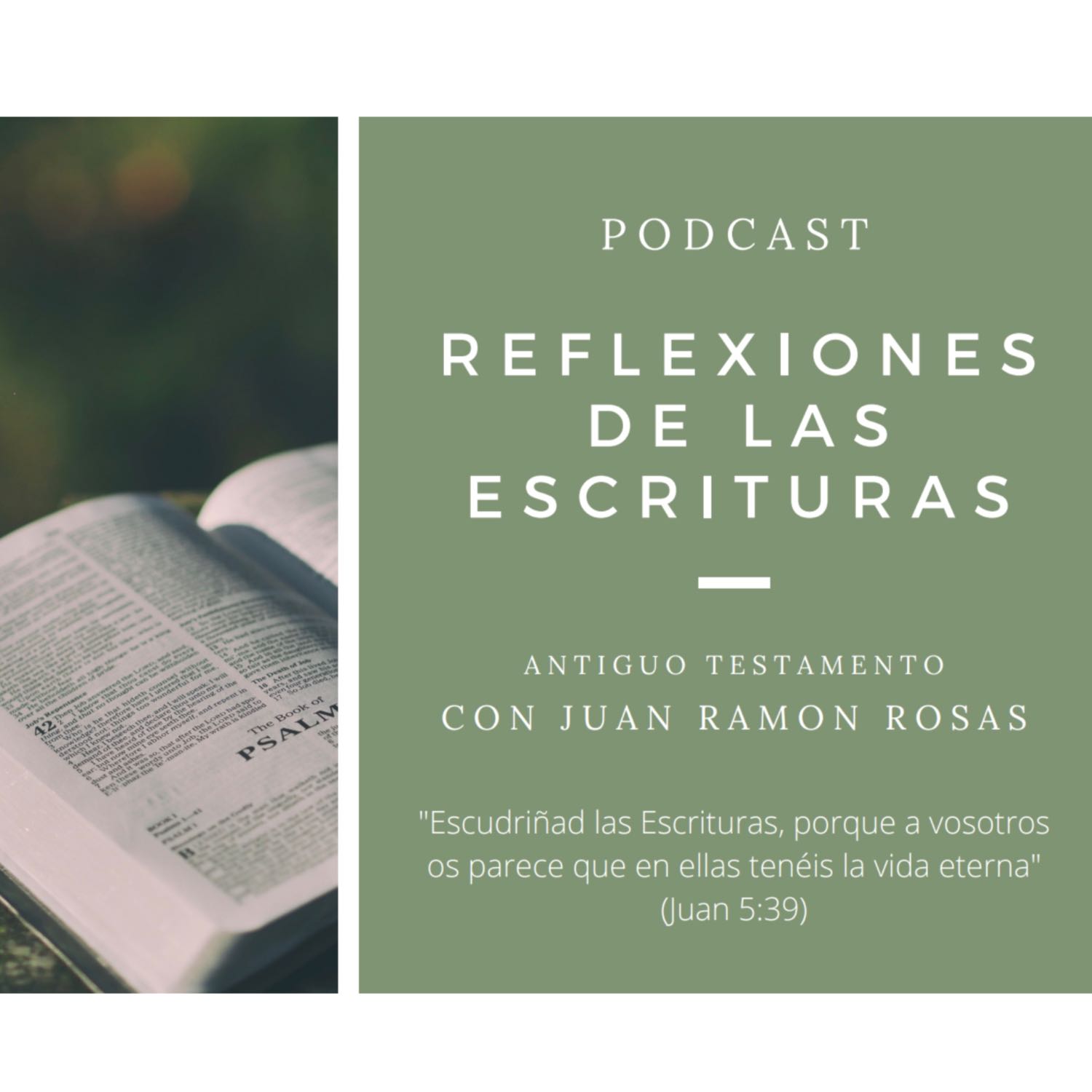 Reflexiones de las Escrituras: Doctrina y Convenios