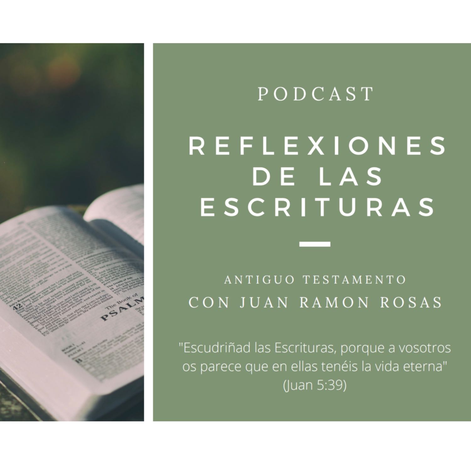 Reflexiones de las Escrituras: Doctrina y Convenios