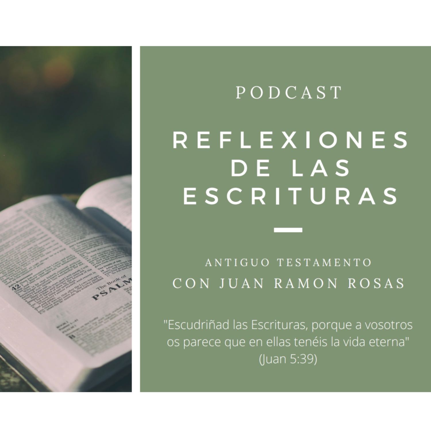 Reflexiones de las Escrituras: Doctrina y Convenios