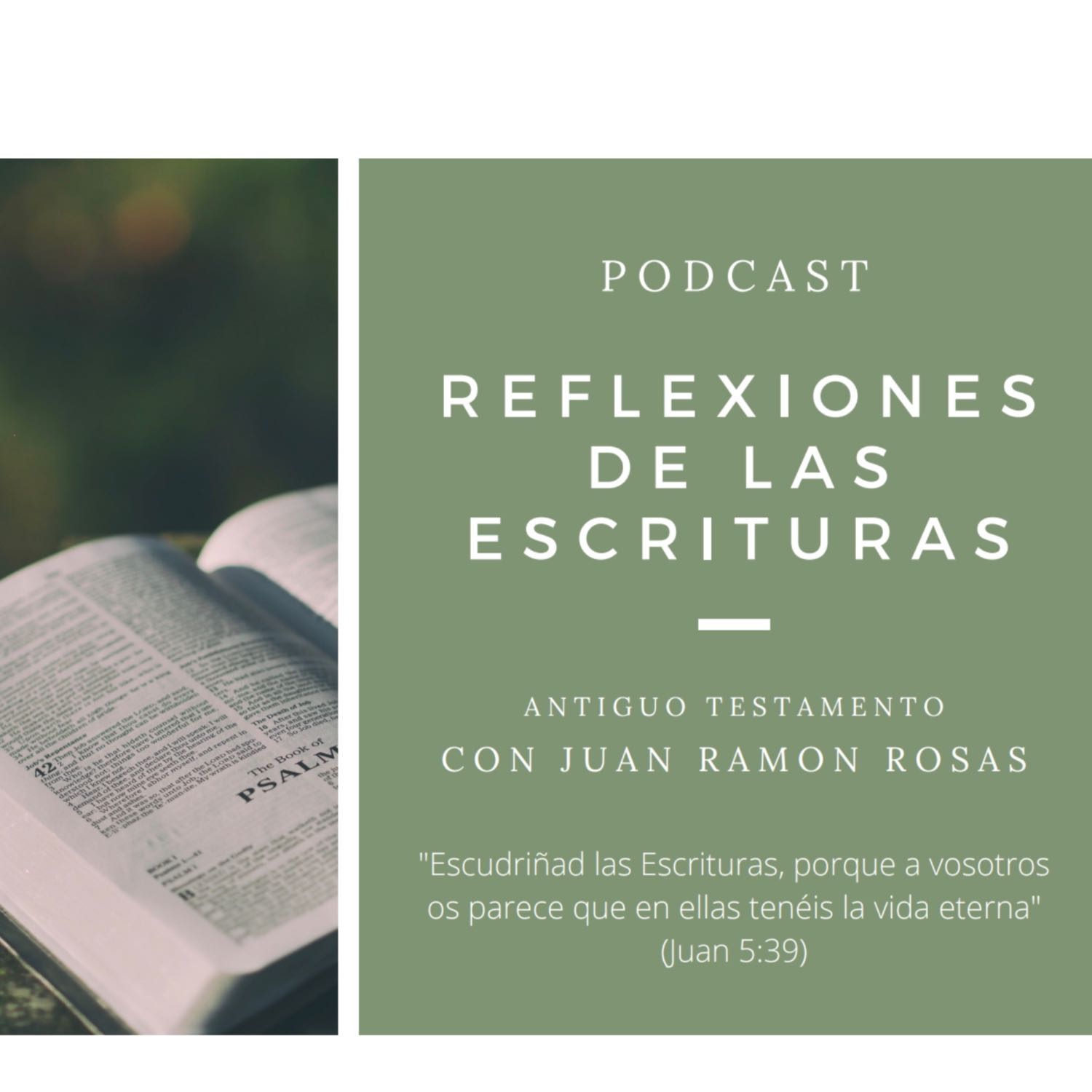 Reflexiones de las Escrituras: Doctrina y Convenios