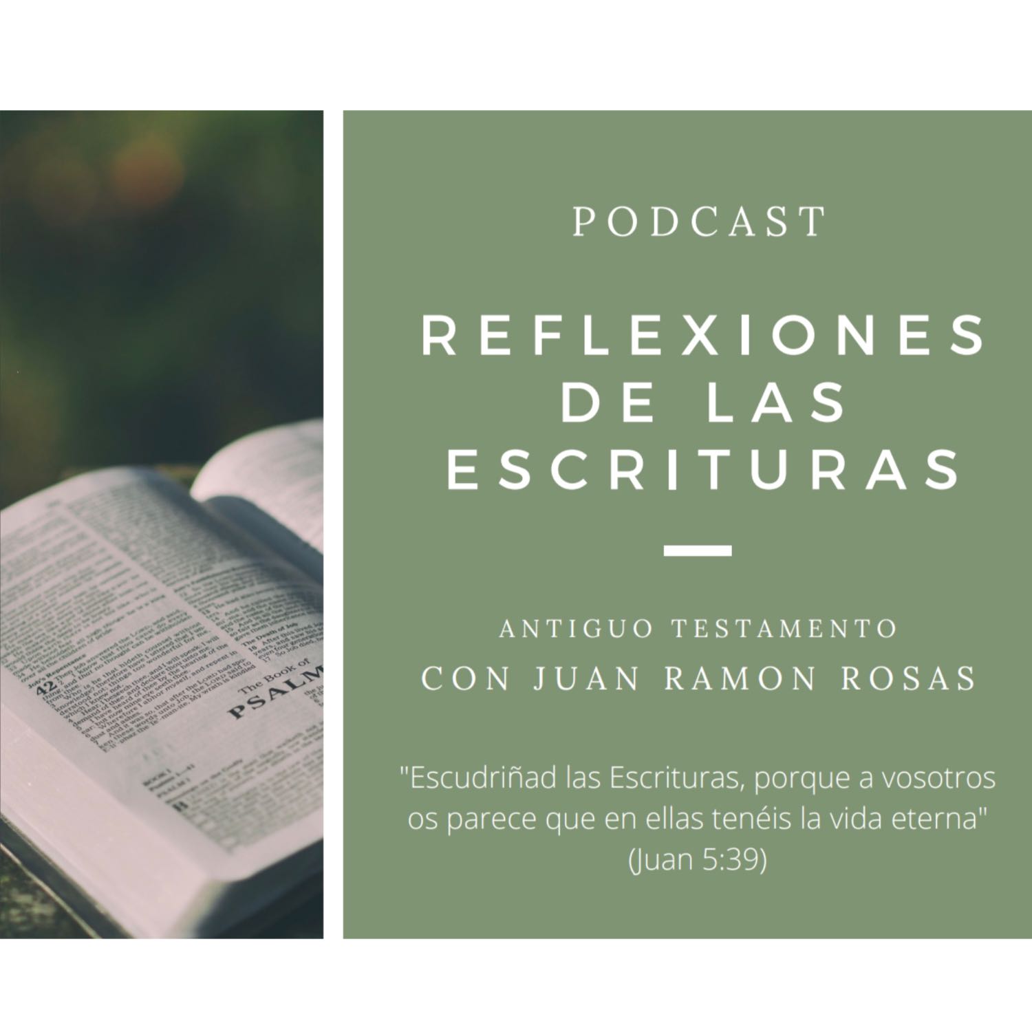 Reflexiones de las Escrituras: Doctrina y Convenios