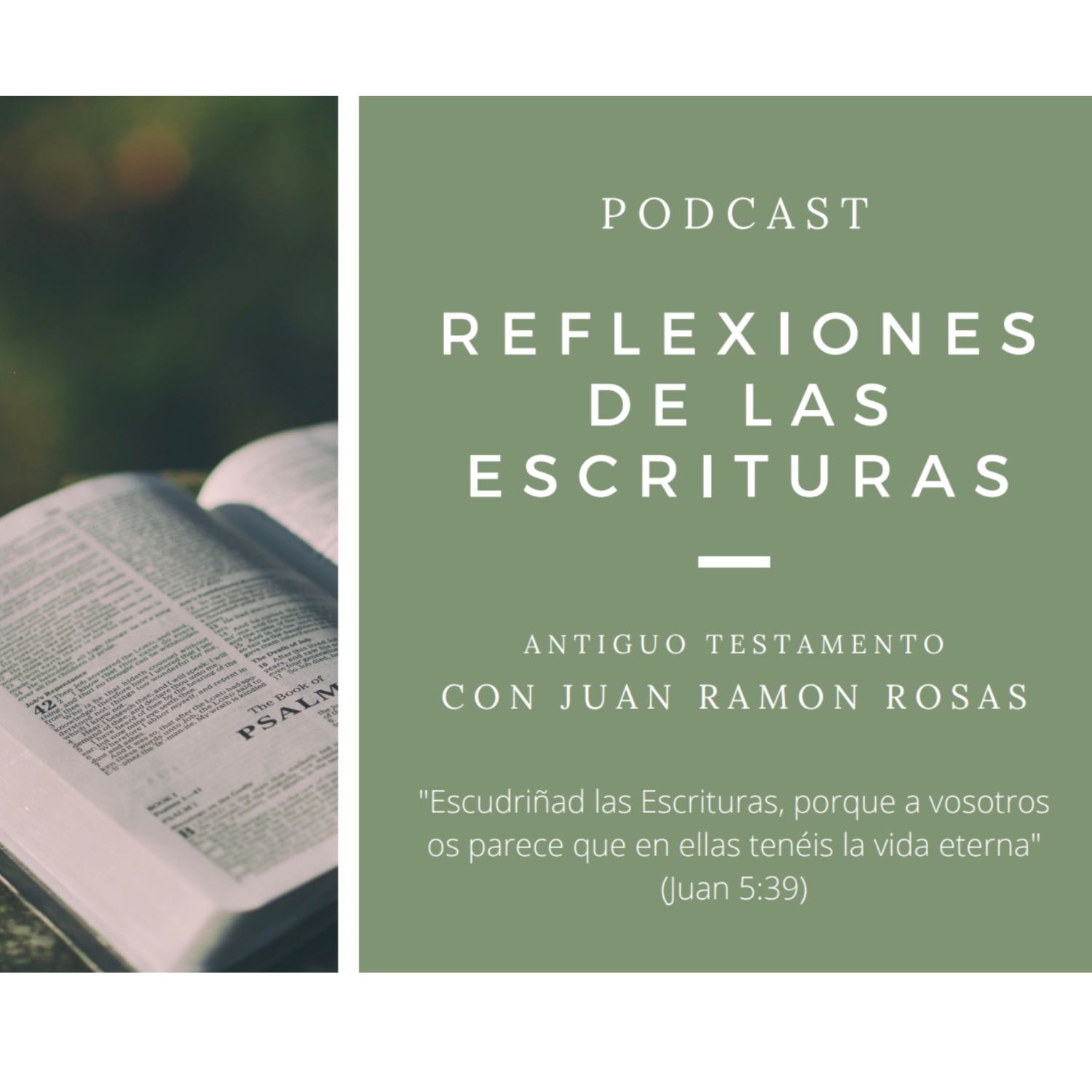 Reflexiones de las Escrituras: Doctrina y Convenios