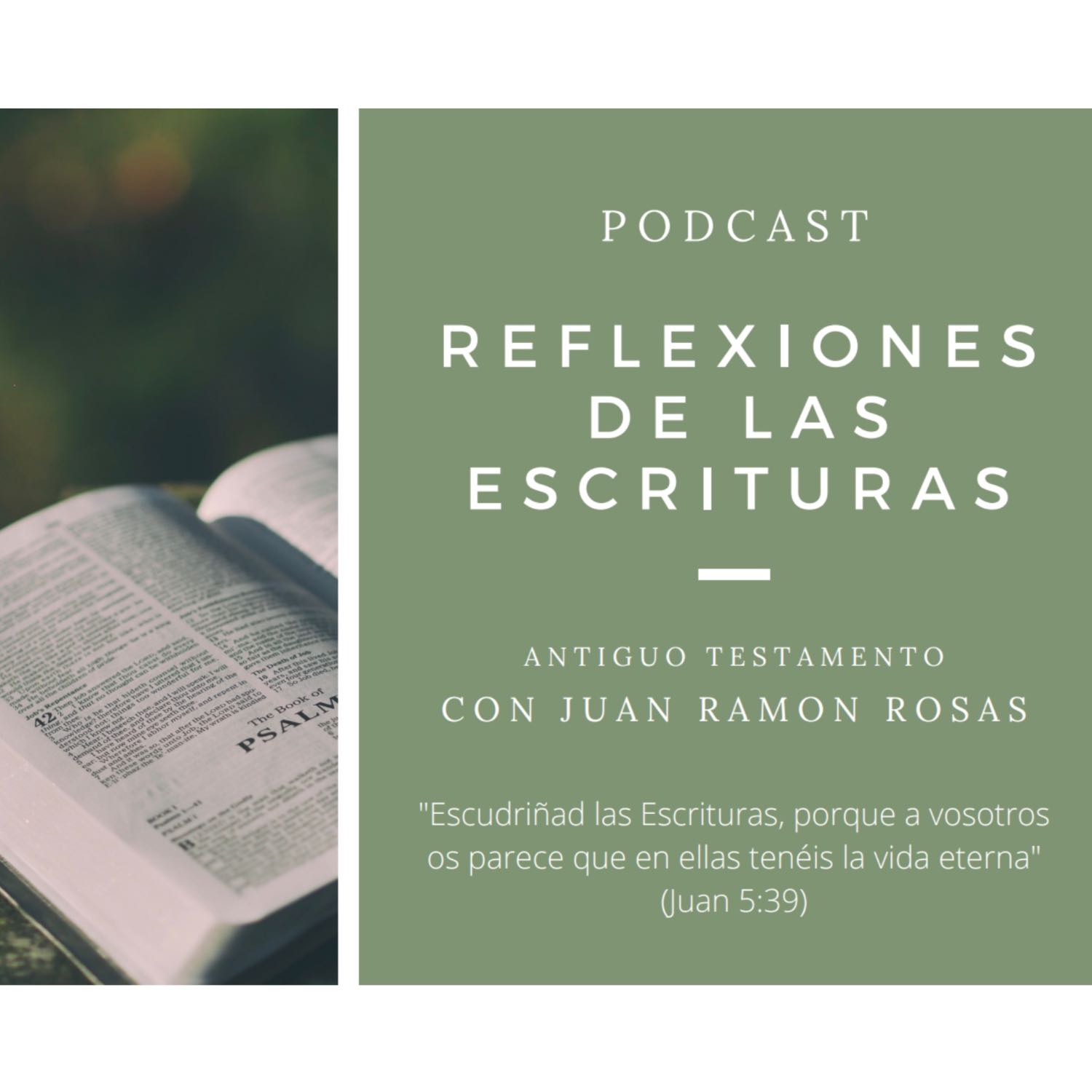Reflexiones de las Escrituras: Doctrina y Convenios