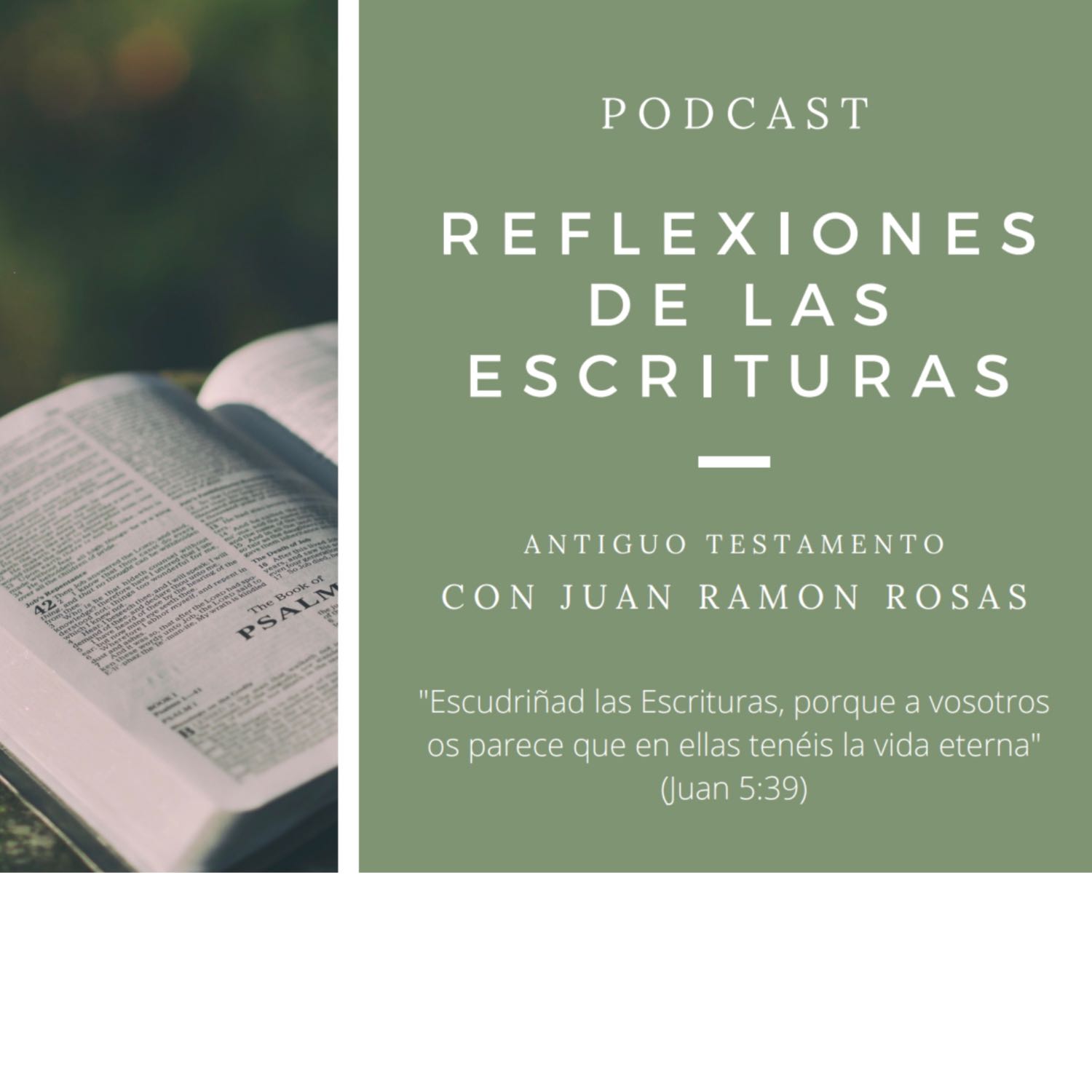 Reflexiones de las Escrituras: Doctrina y Convenios