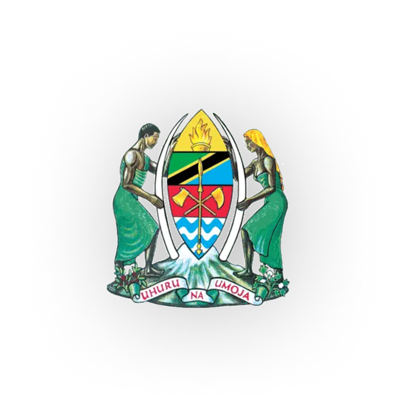 Tanzania Government Portal ESS Utumishi episode artwork