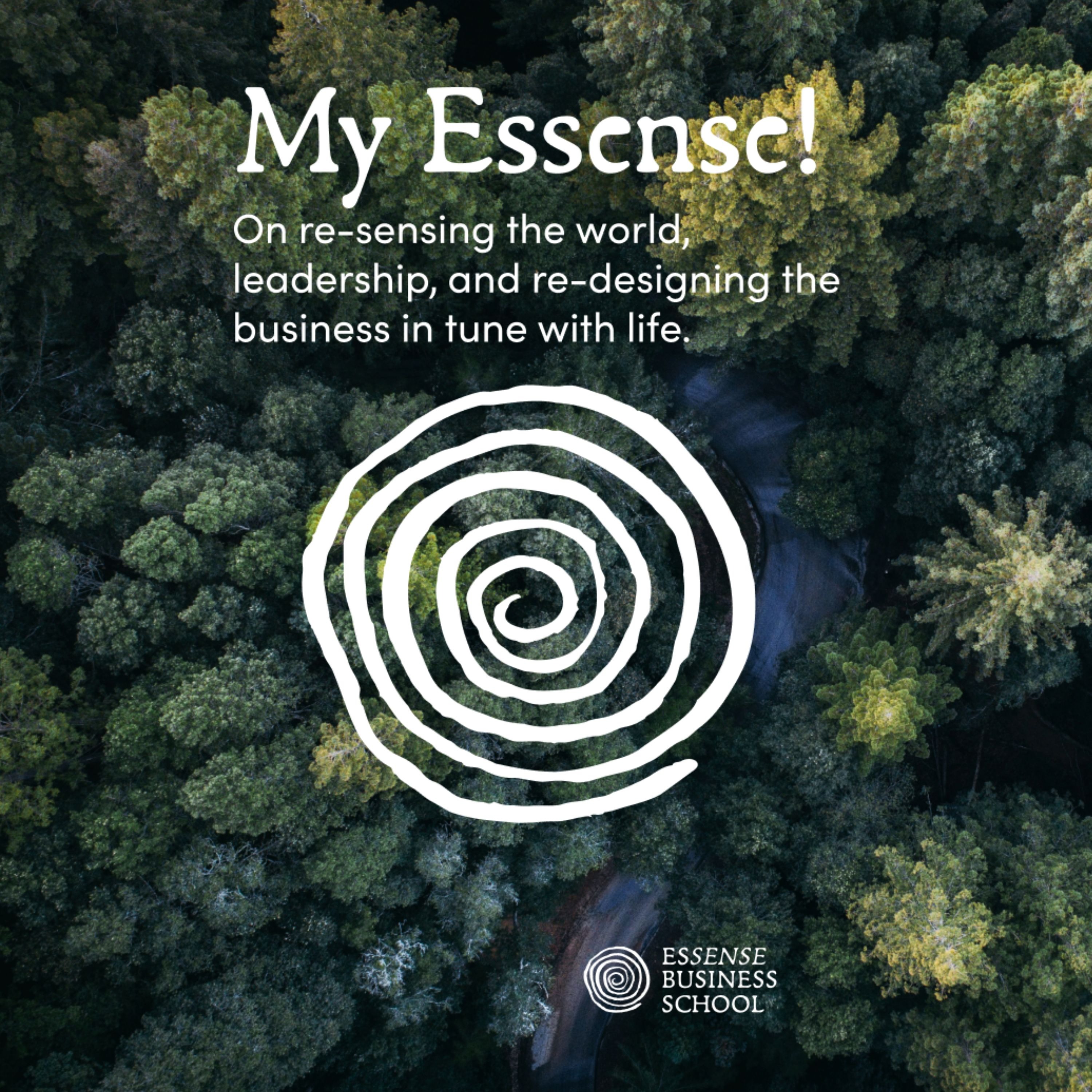 ESSENSE BUSINESS SCHOOL