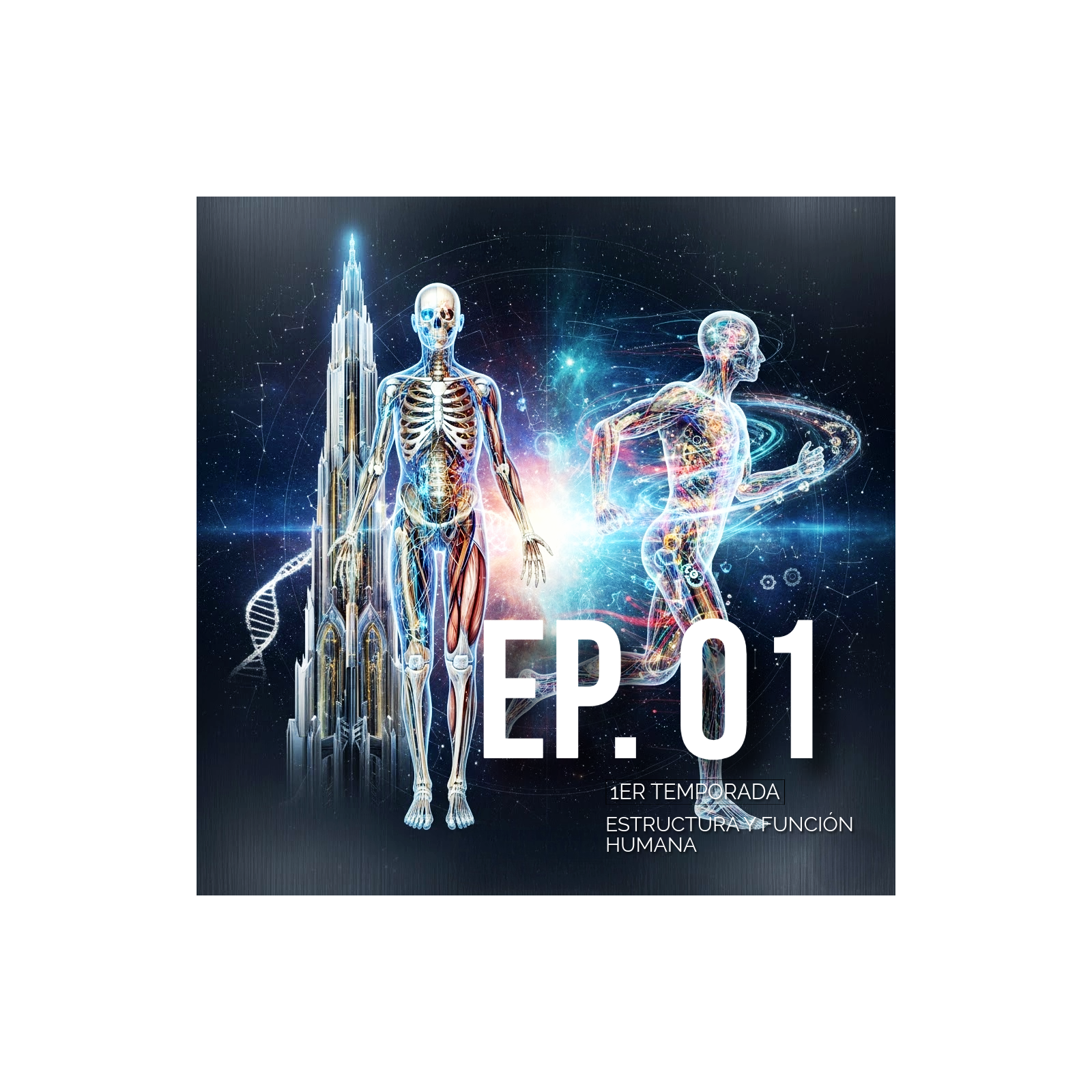 Estructura y función