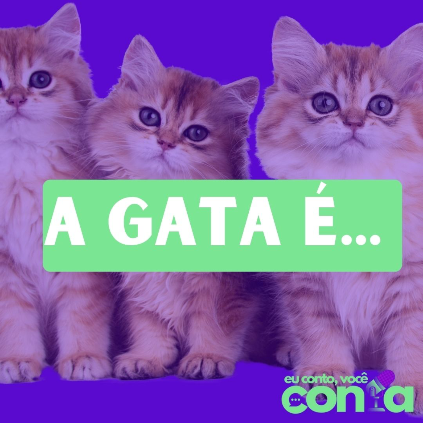 Eu Conto ou Você Conta?