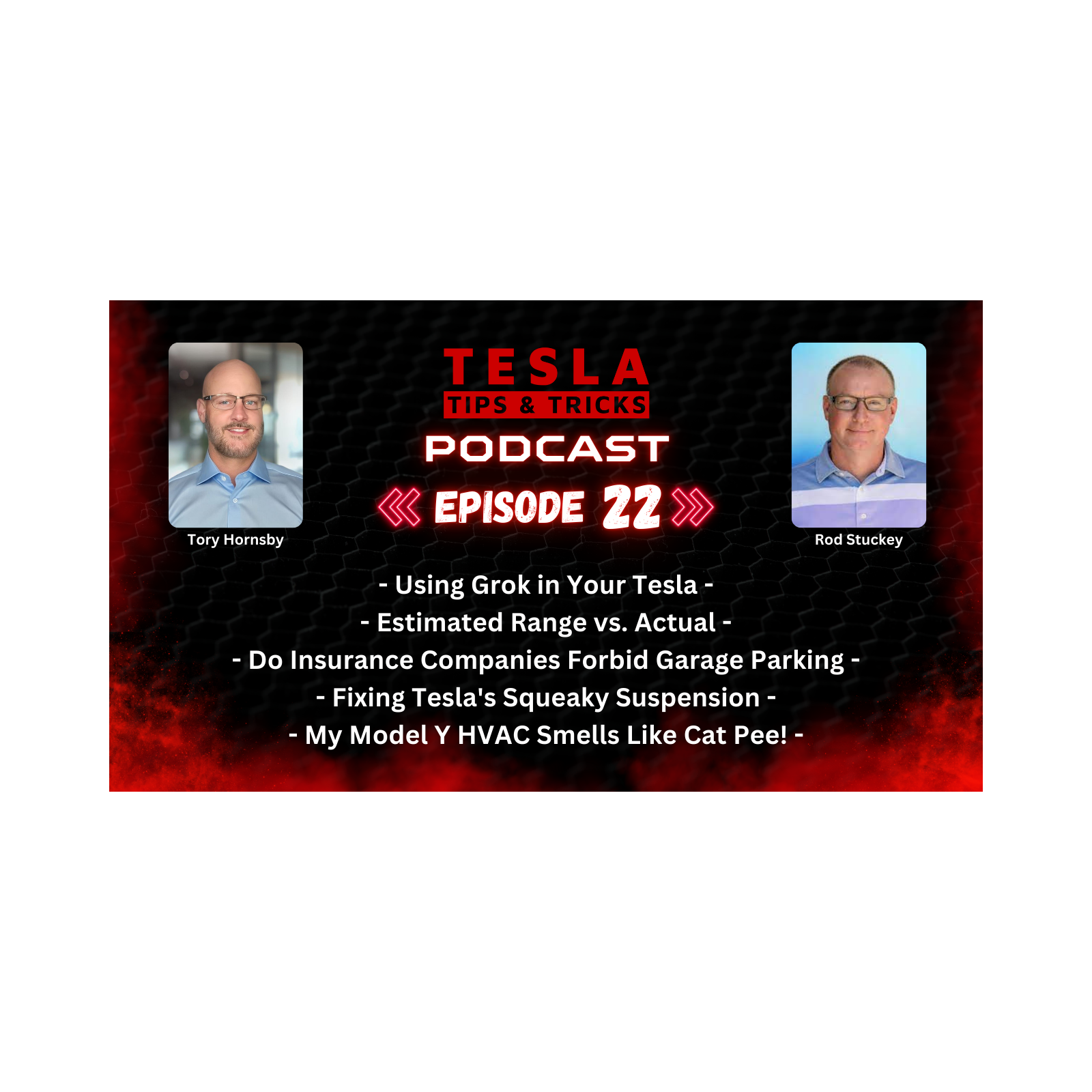 My Tesla Smells Like Cat Pee, Using Grok, Squeaky Suspensions & More - Tesla Tips Podcast E22