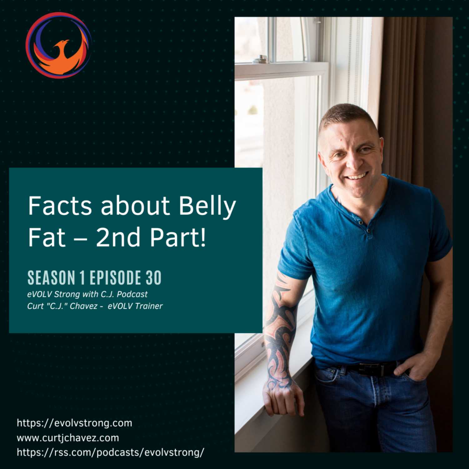 Facts about Belly Fat- 2nd Part! 