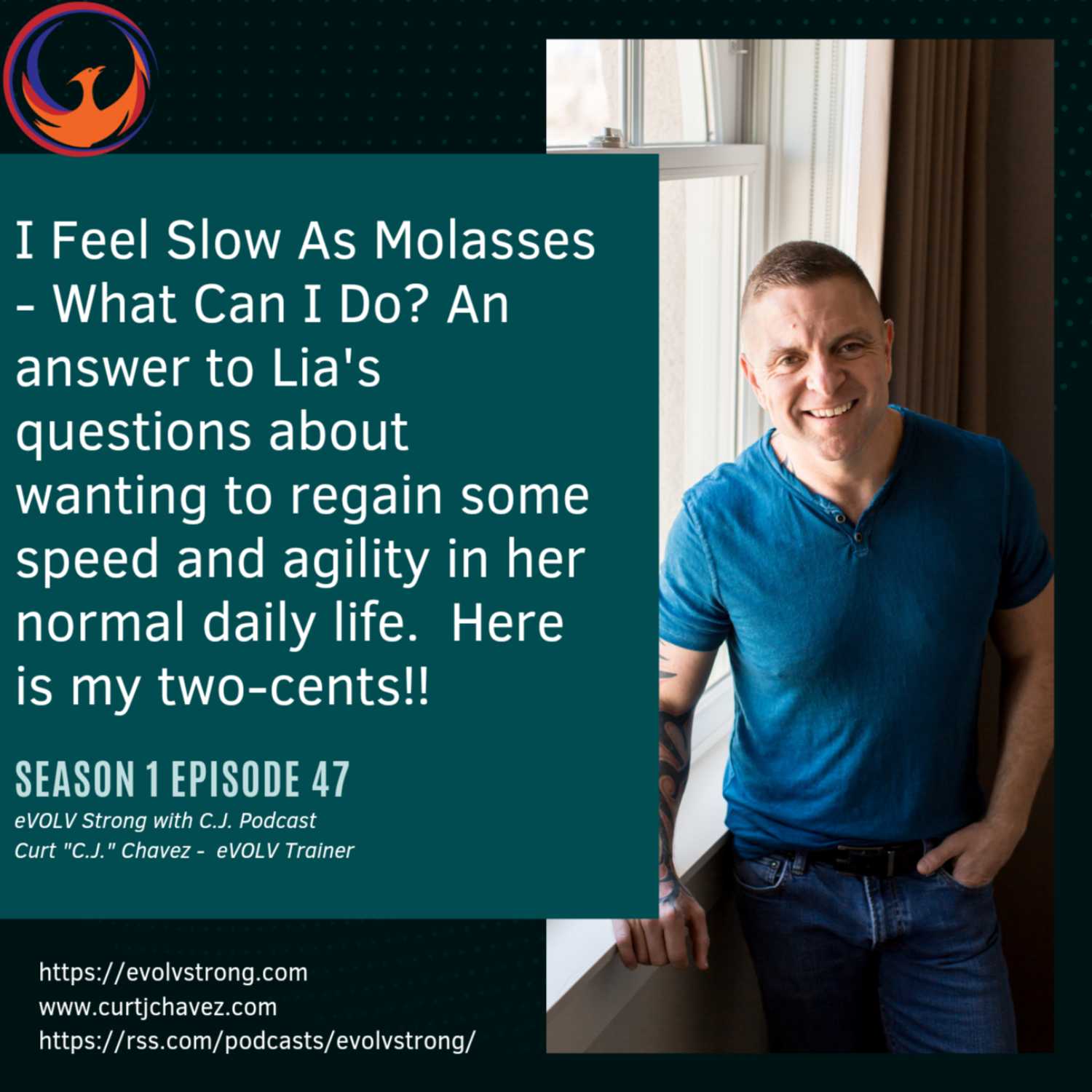 I Feel Slow As Molasses - What Can I Do? An answer to Lia's questions about wanting to regain some speed and agility in her normal daily life.  Here is my two-cents!