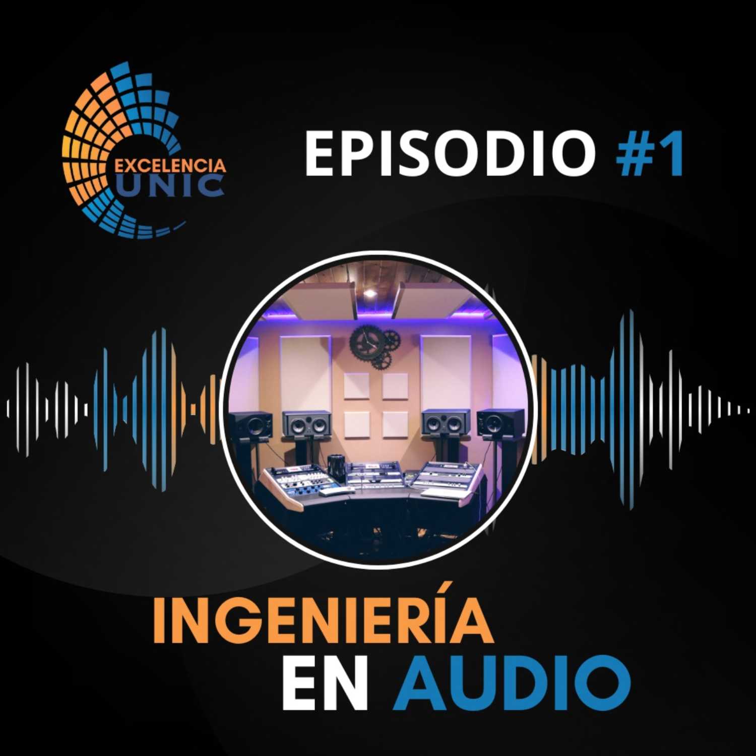 Excelencia Unic