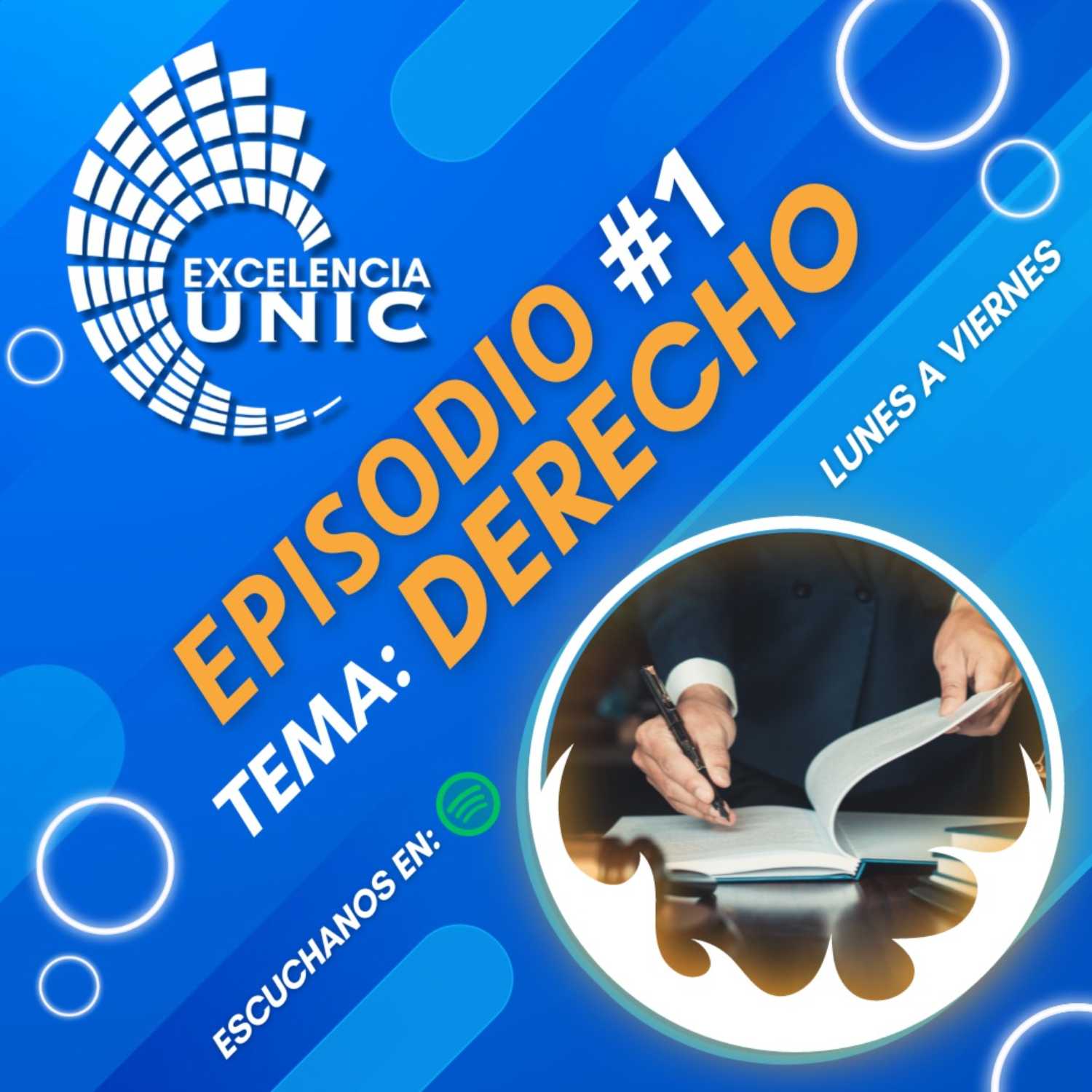 Excelencia Unic
