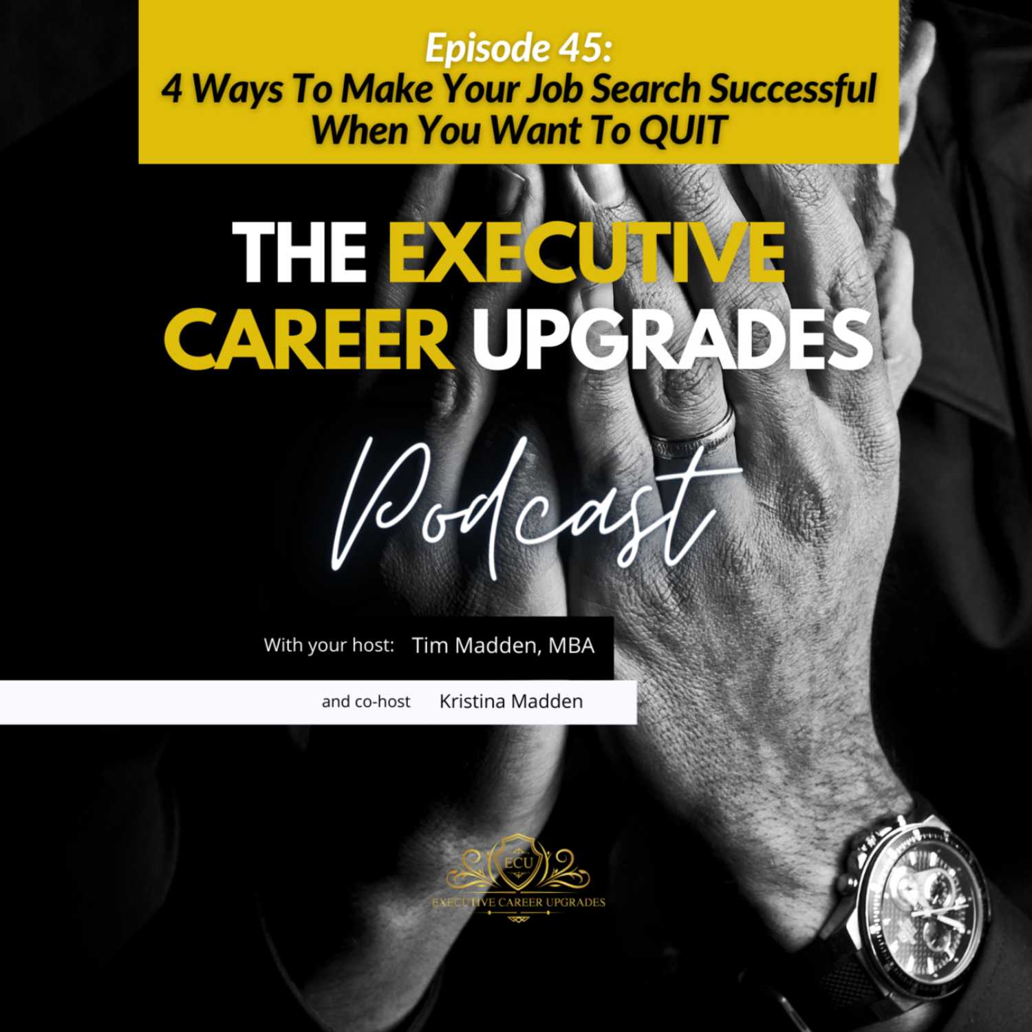 4 Ways To Make Your Job Search Successful When You Want To QUIT episode artwork