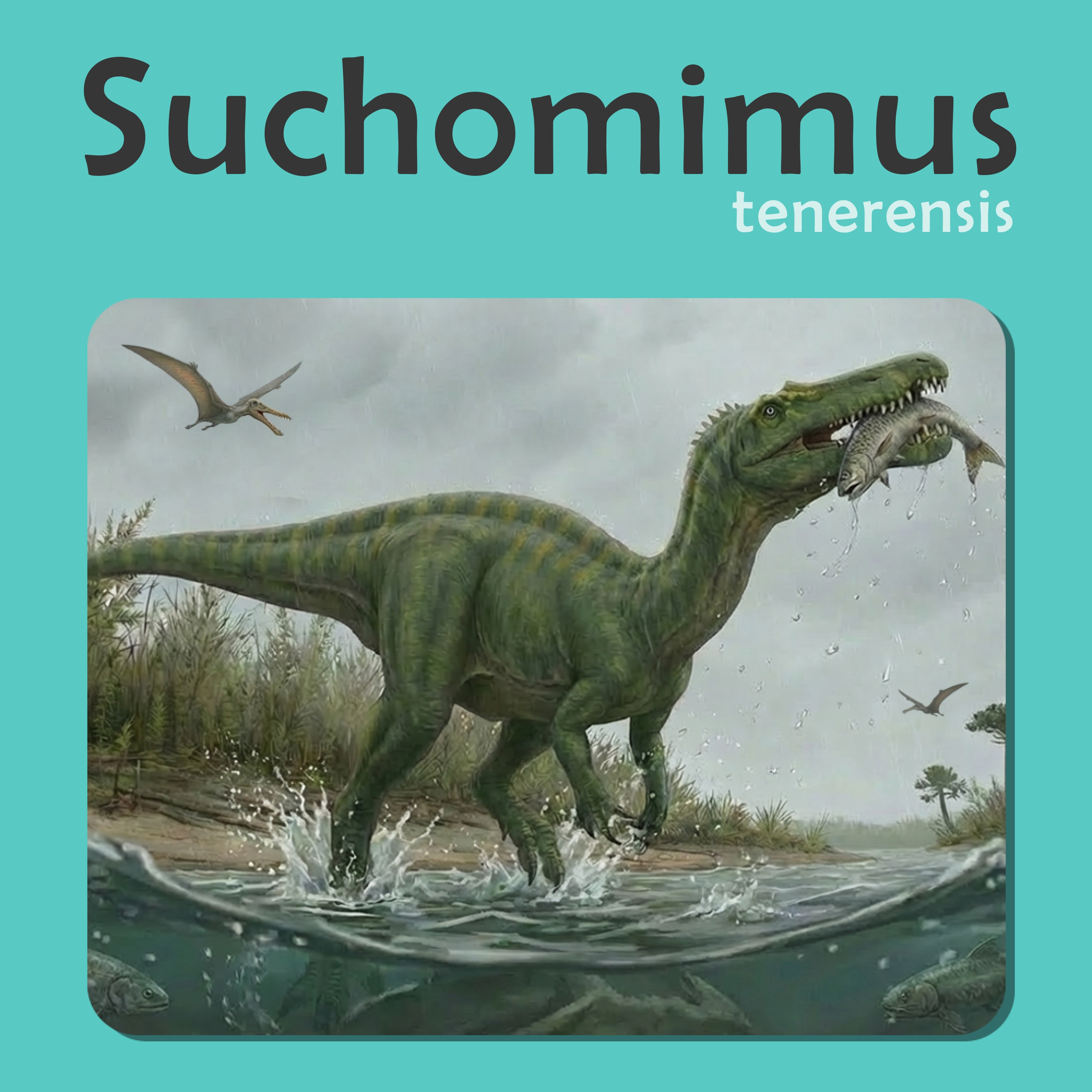 Mossfoot the Suchomimus and the Risky River episode artwork