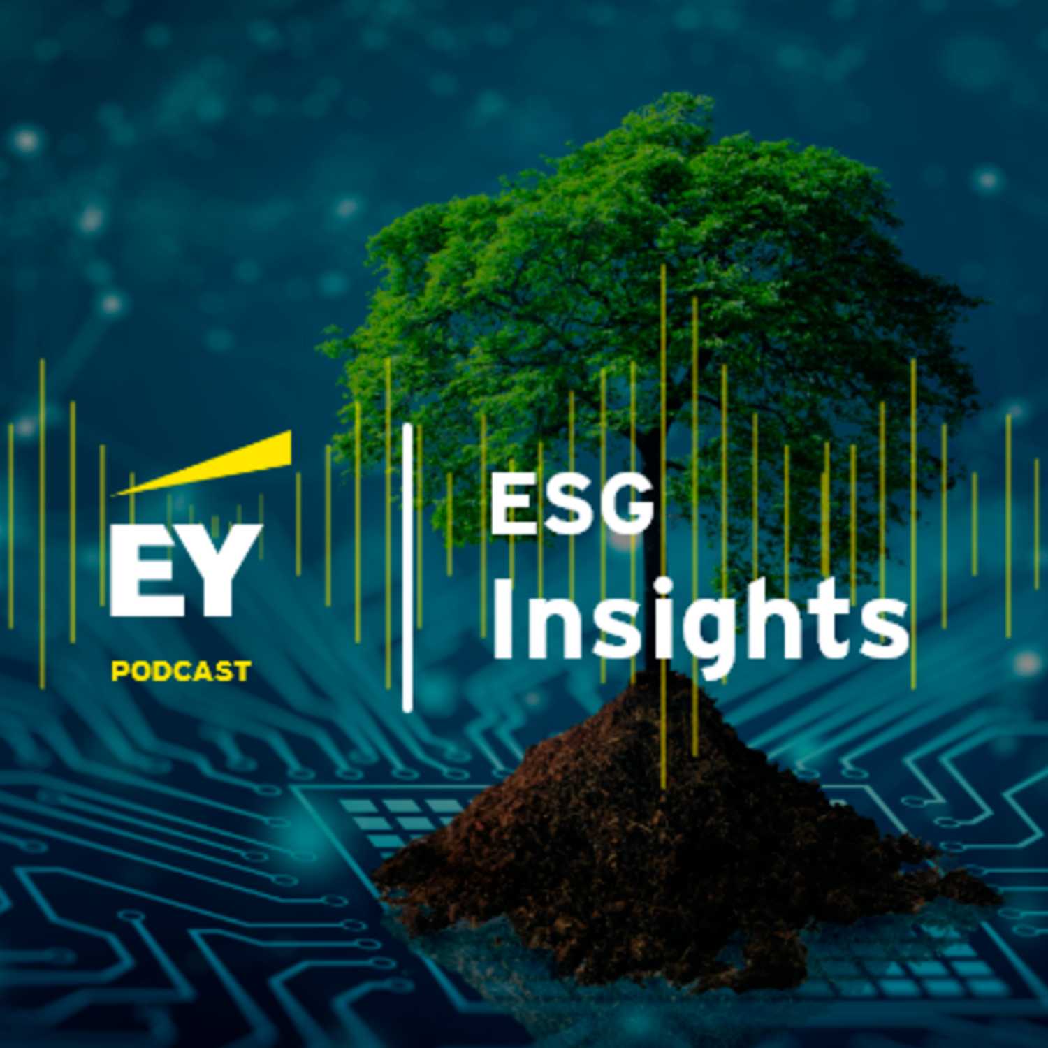 ESG Insights: The total valuation approach: quantitative and qualitative ESG impact valuation episode artwork