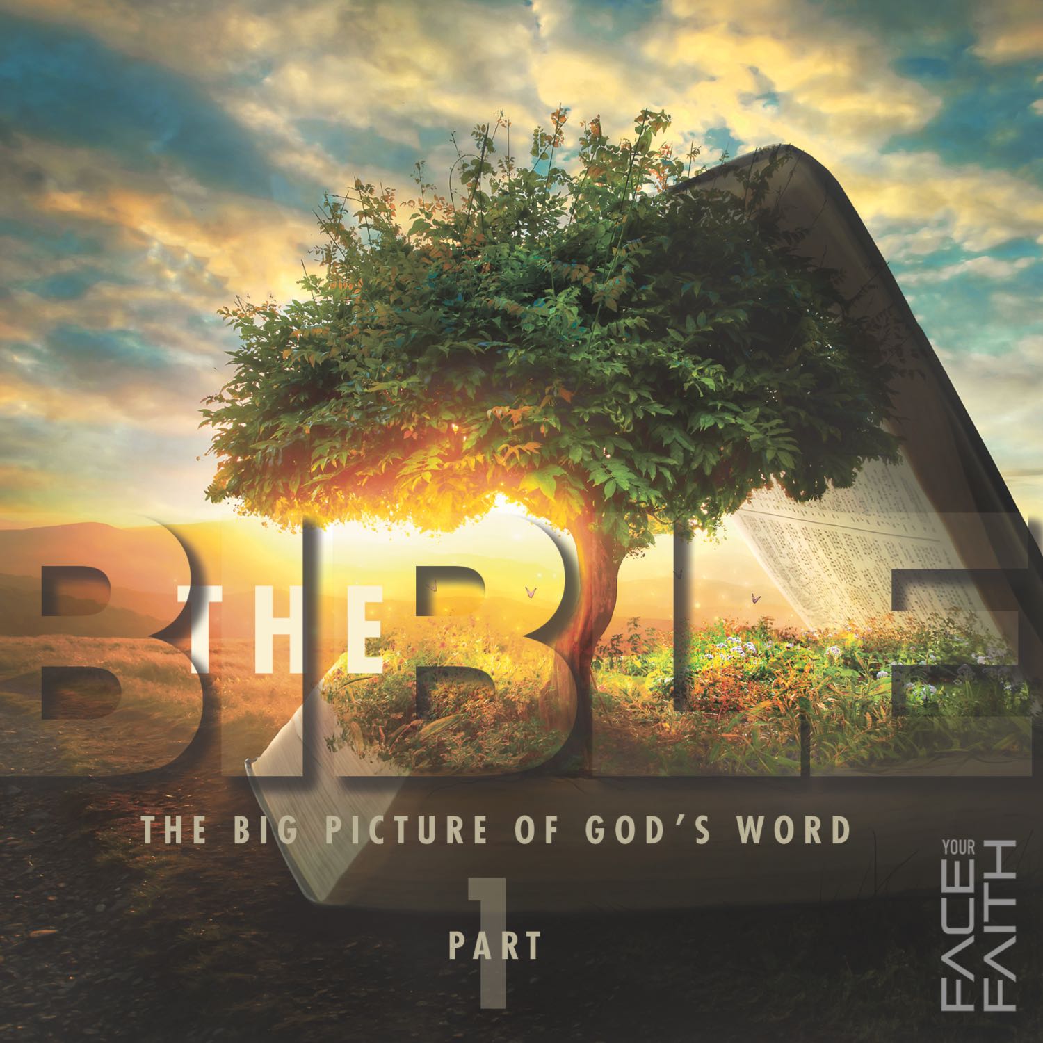 Face Your Faith
