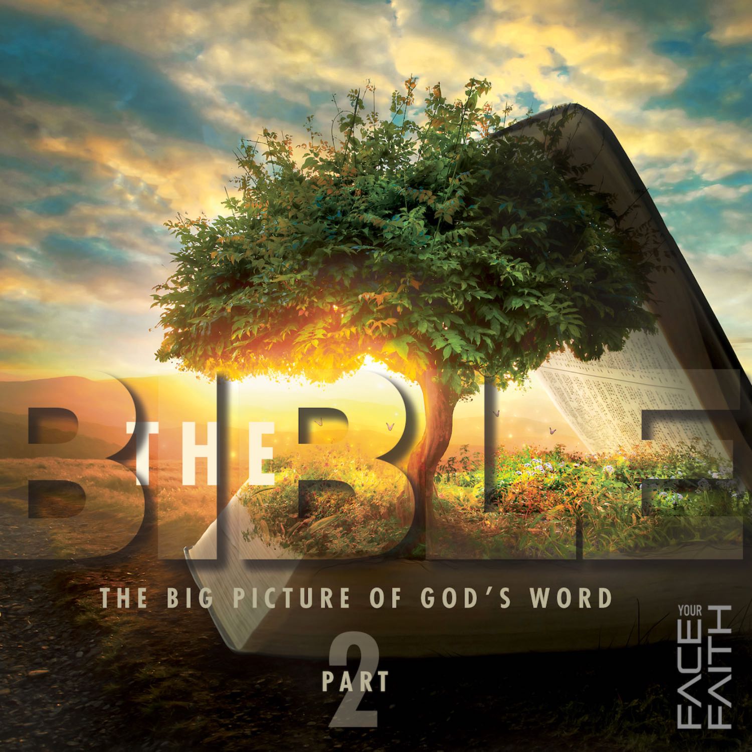 Face Your Faith