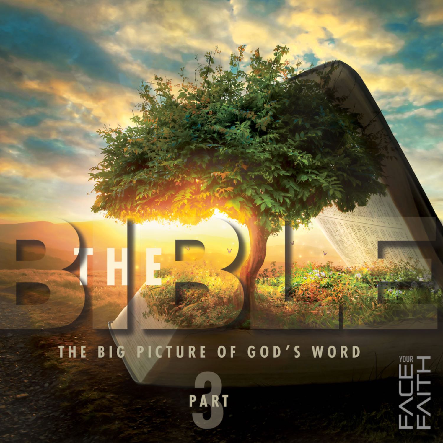 Face Your Faith
