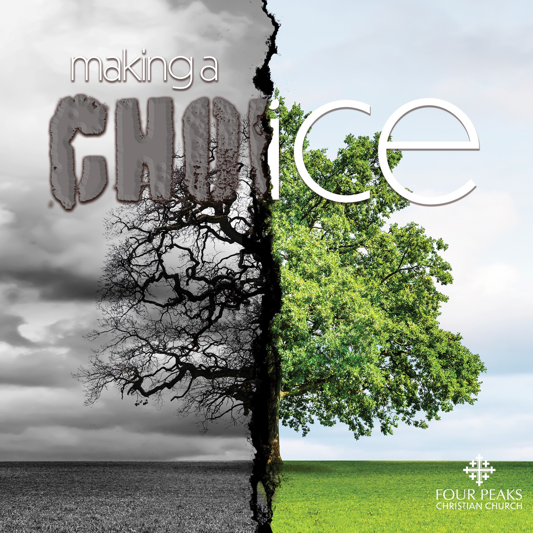 Making A Choice