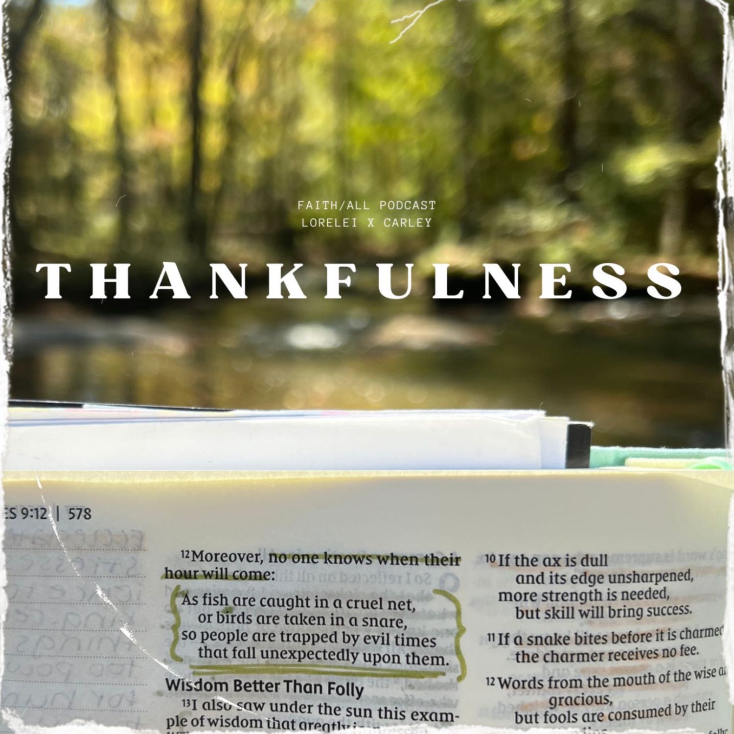 T H A N K F U L N E S S