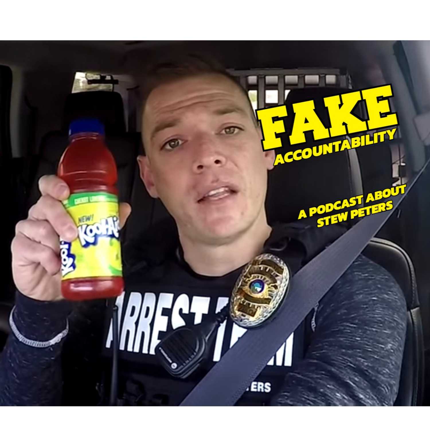 Fake Accountability podcast artwork