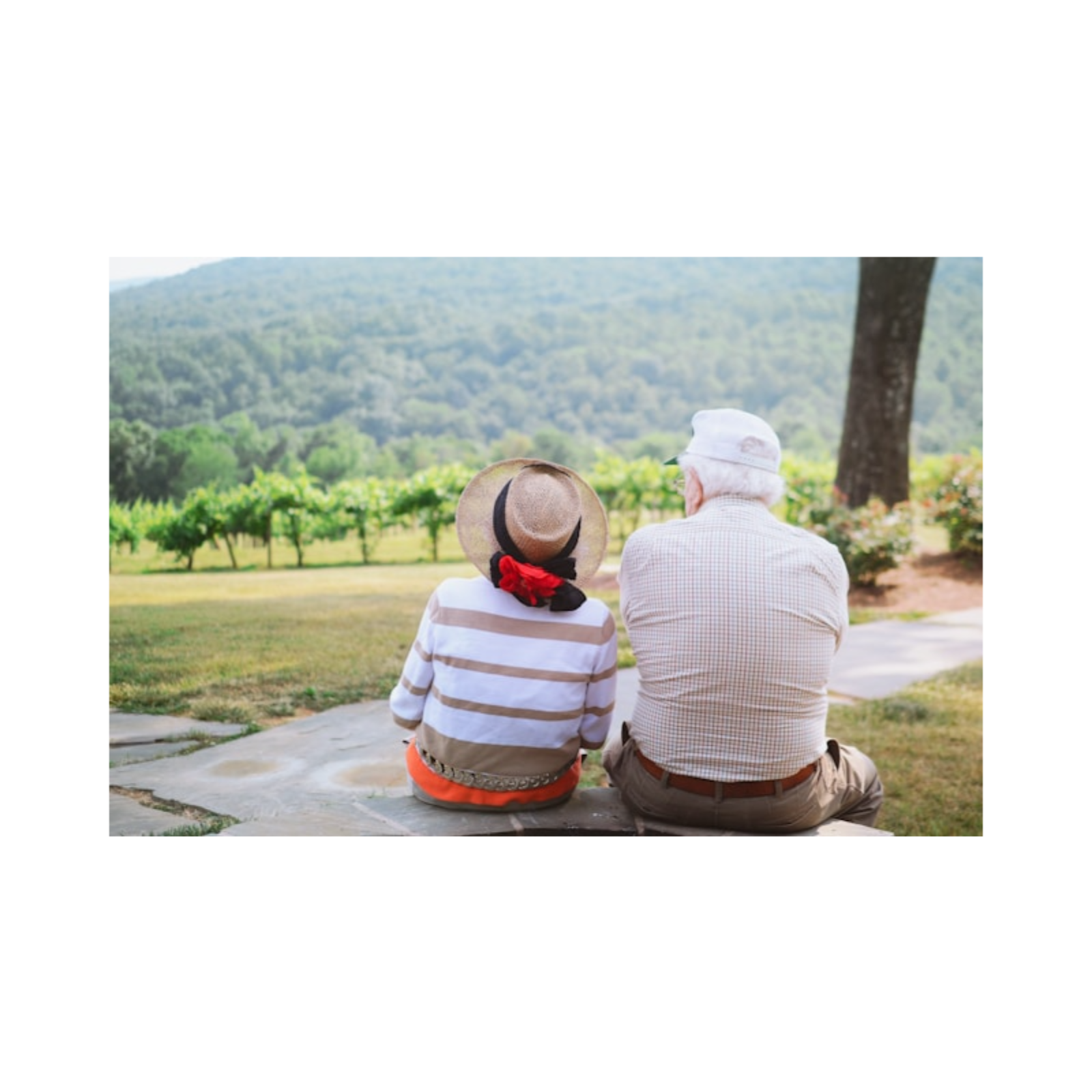 Family Legacy Planning: Preserve Values, Stories, and Future Generations