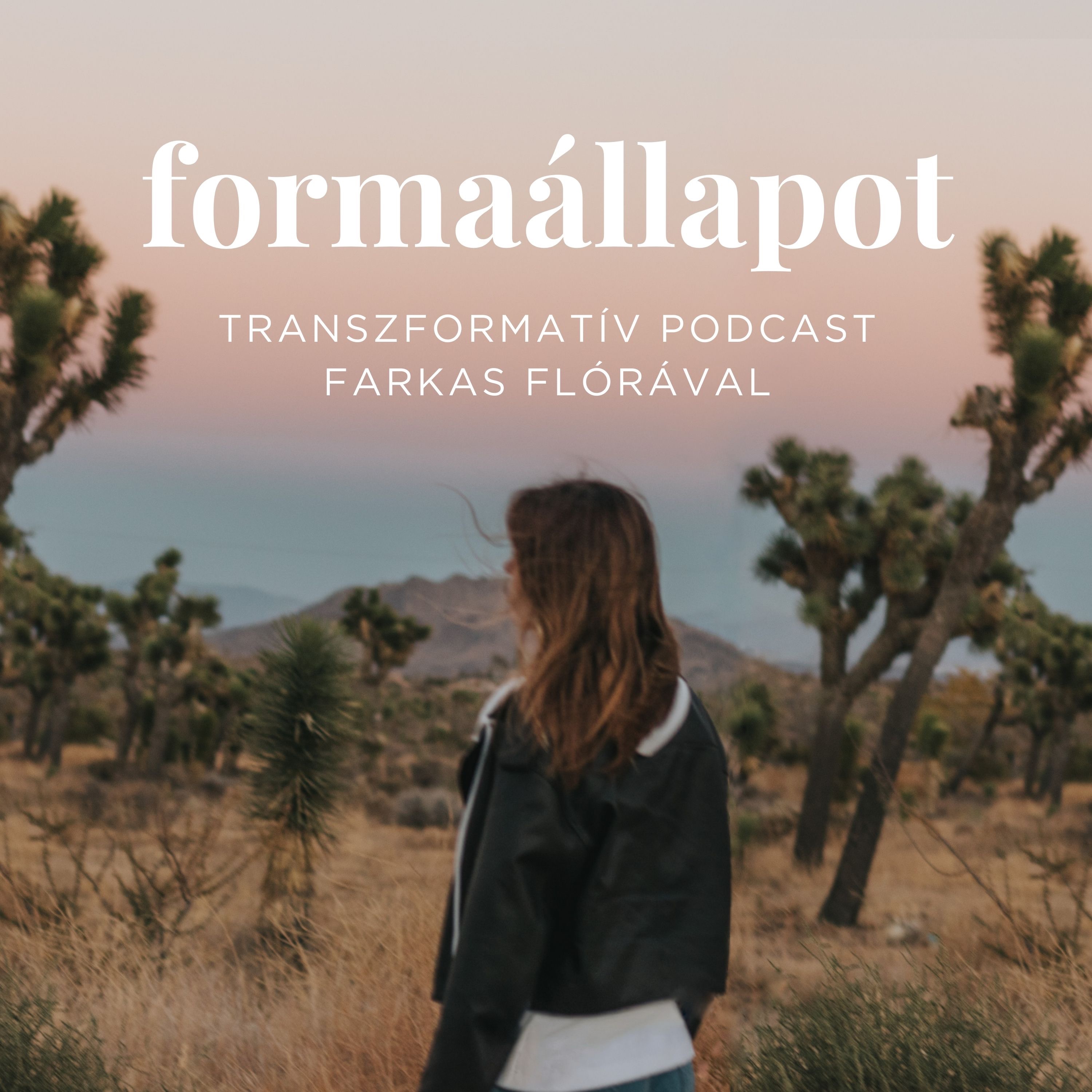 Formaállapot