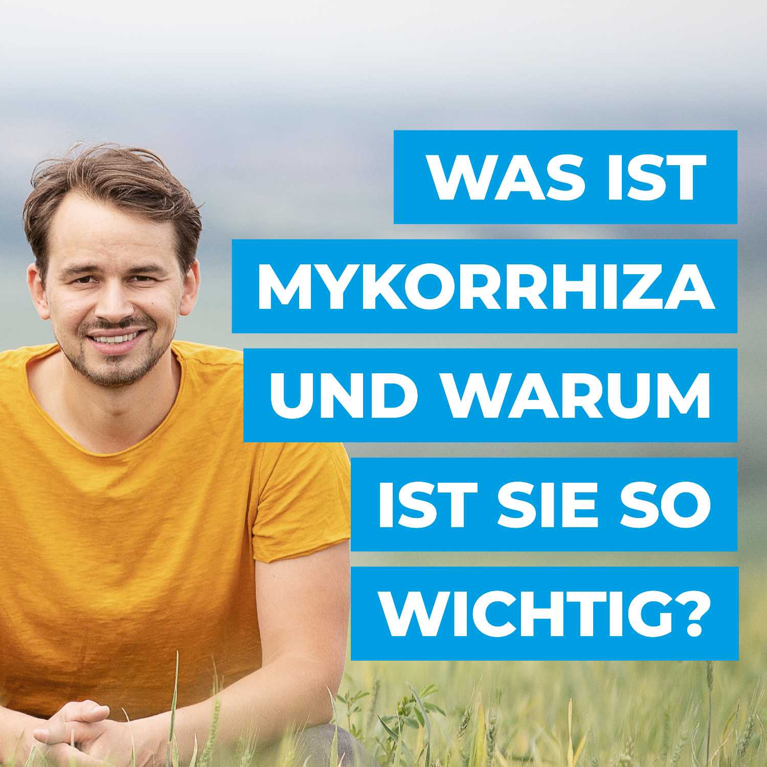 Was ist die Mykorrhiza und warum ist sie so wichtig? episode artwork