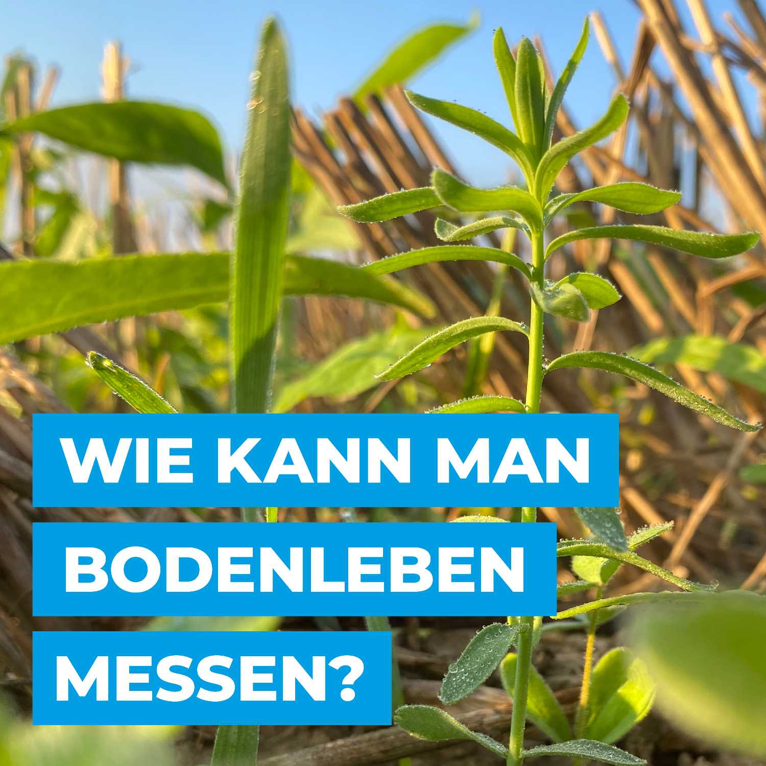 FARM2FARM Podcast