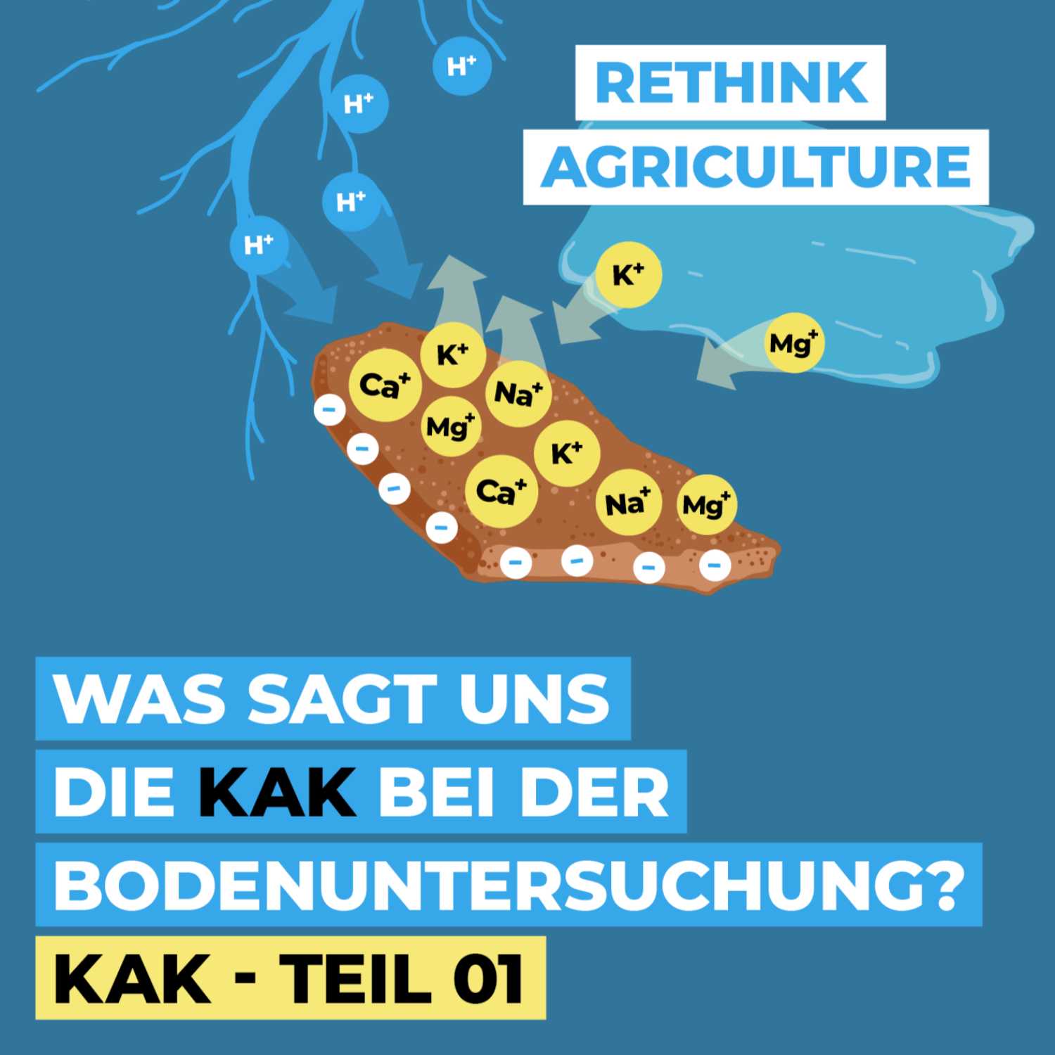 Was sagt uns die KAK bei der Bodenuntersuchung? (KAK - Teil 1) episode artwork