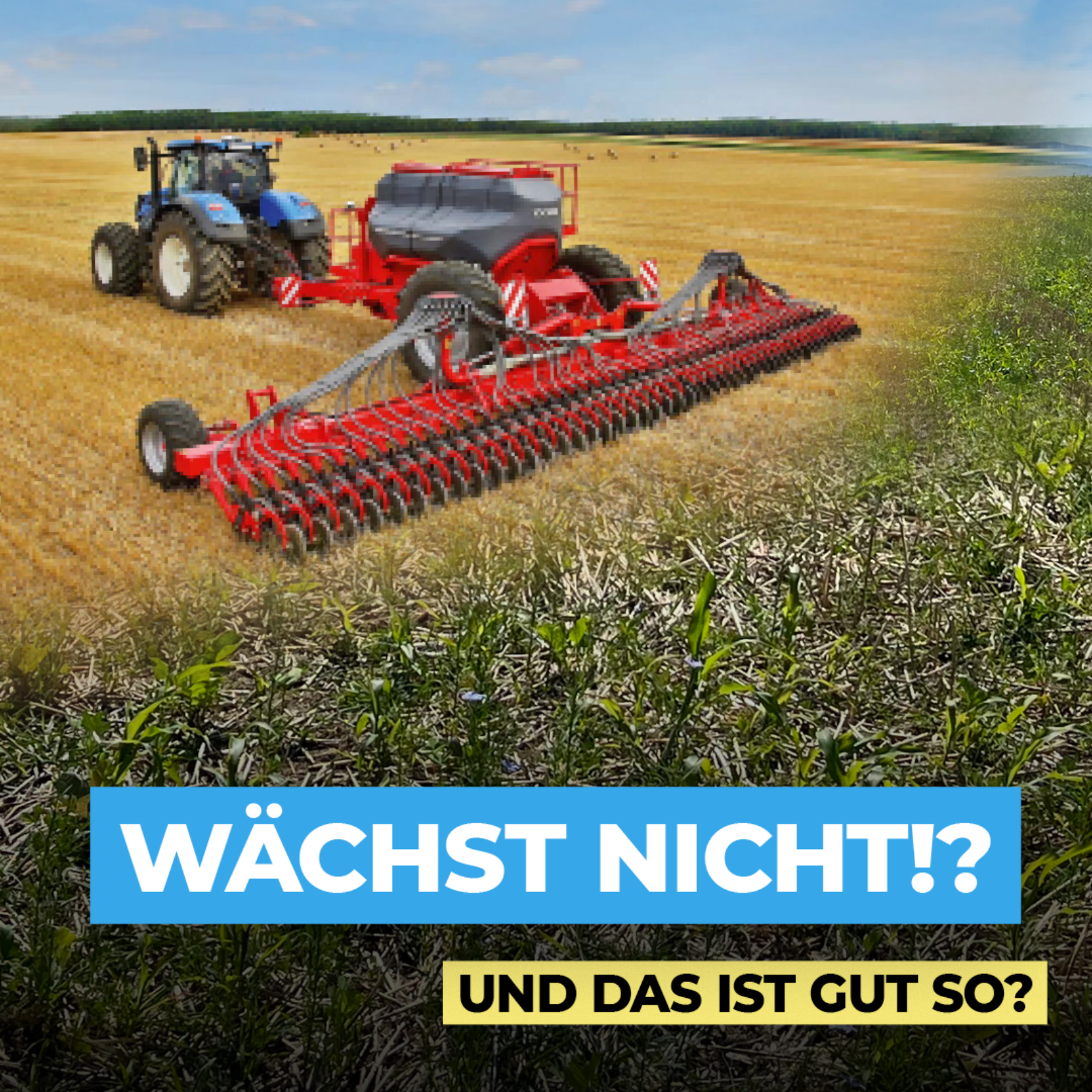 Zwischenfrucht trotz Trockenheit episode artwork