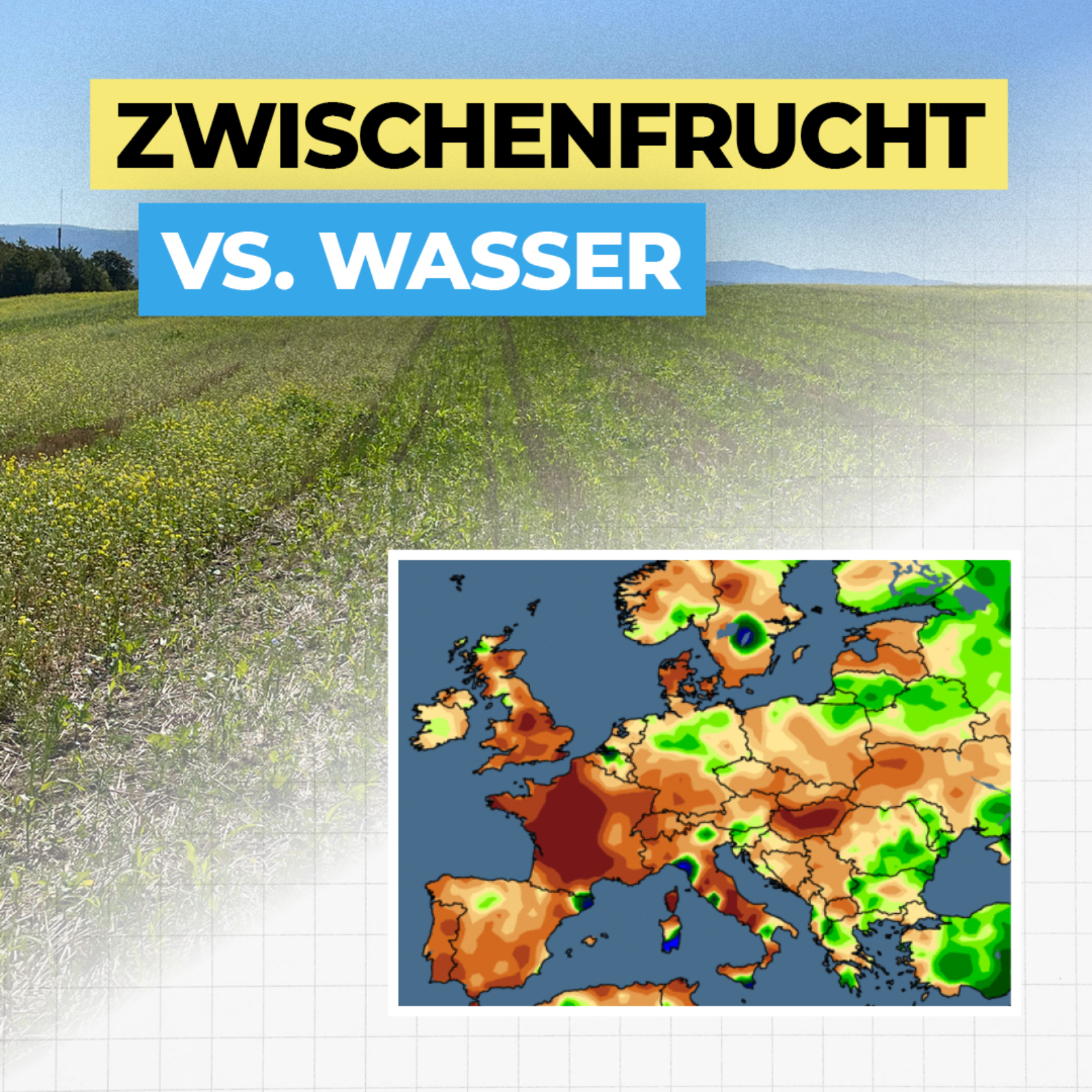 Wieviel Wasser kostet dich die Zwischenfrucht? episode artwork