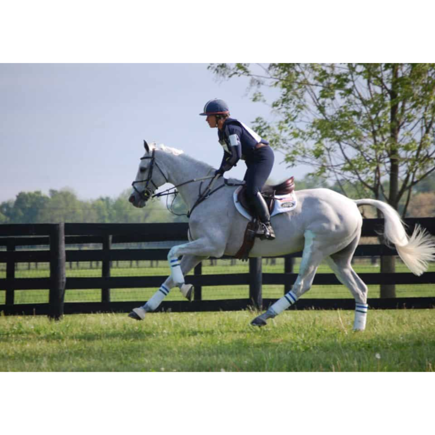 Farm To Stable: An Equine Nutrition Podcast