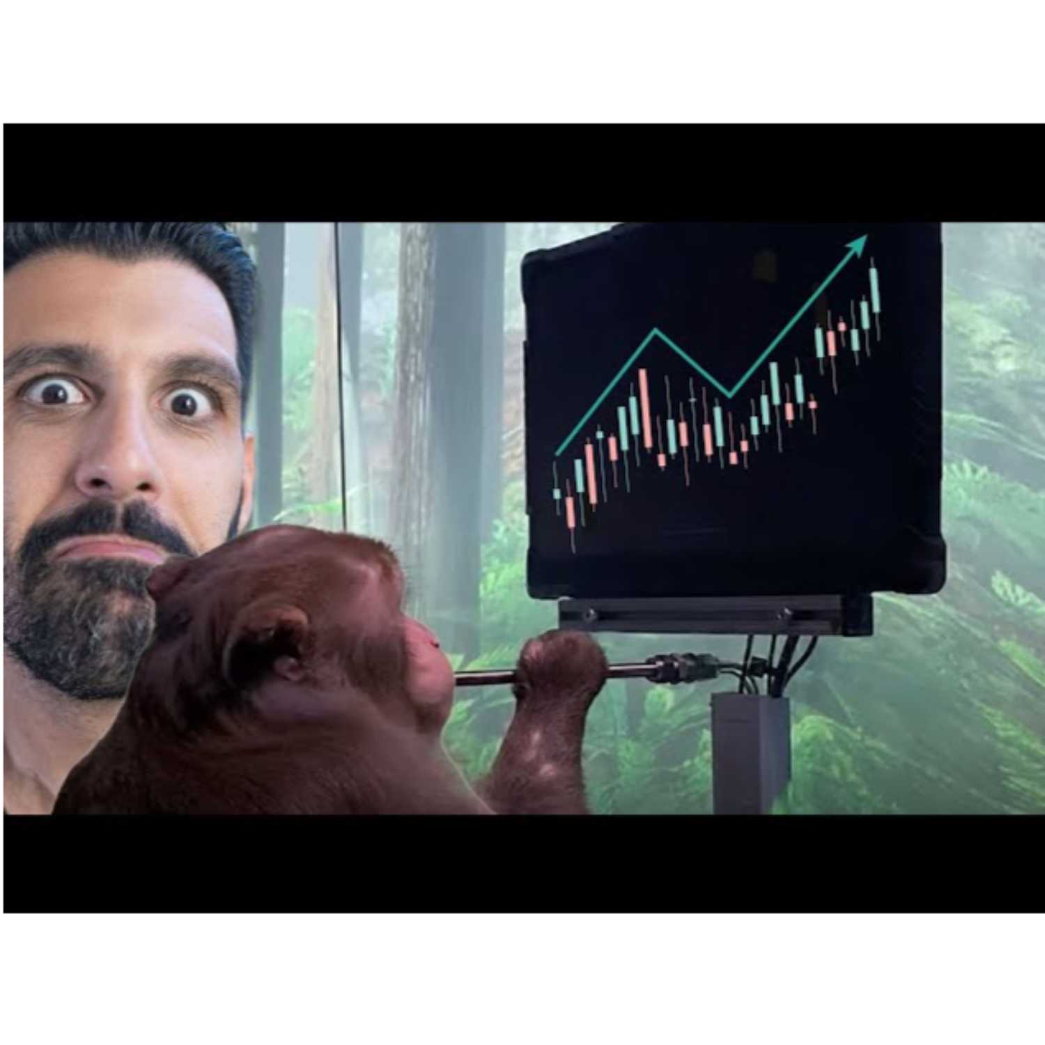 Tesla's Q4 Could Be 🍌