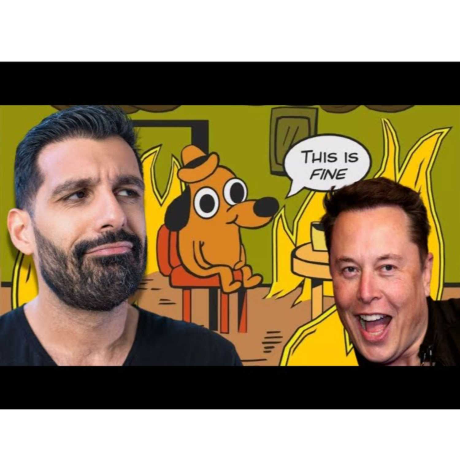 What's going on with Elon Musk?