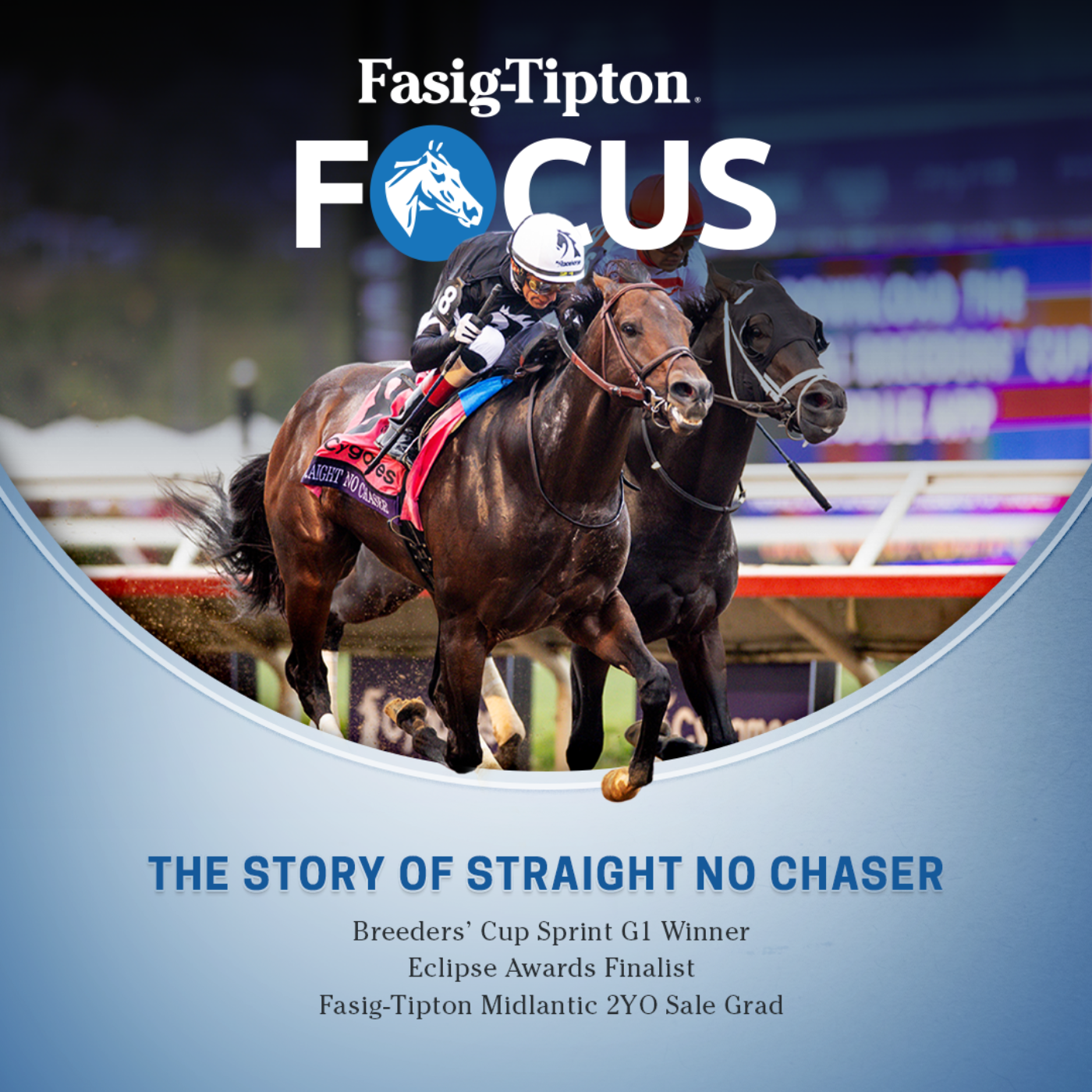 Fasig-Tipton Focus