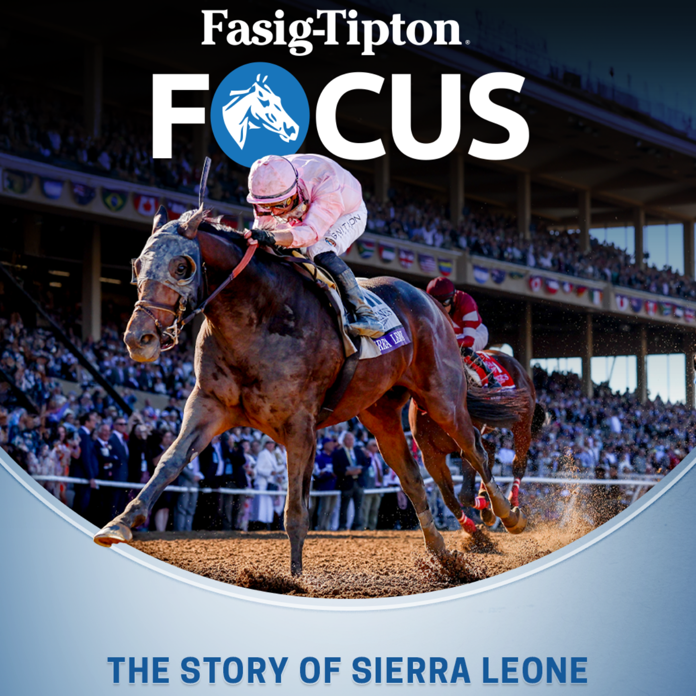 Fasig-Tipton Focus