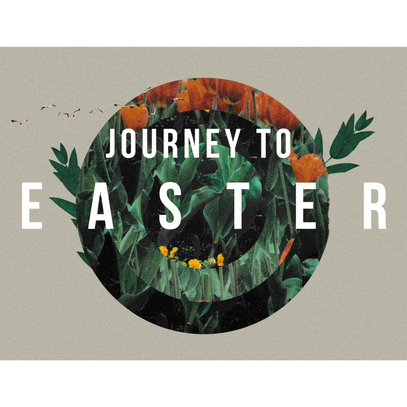 Following a King, Who Lived to Die - Mark 10:17-45