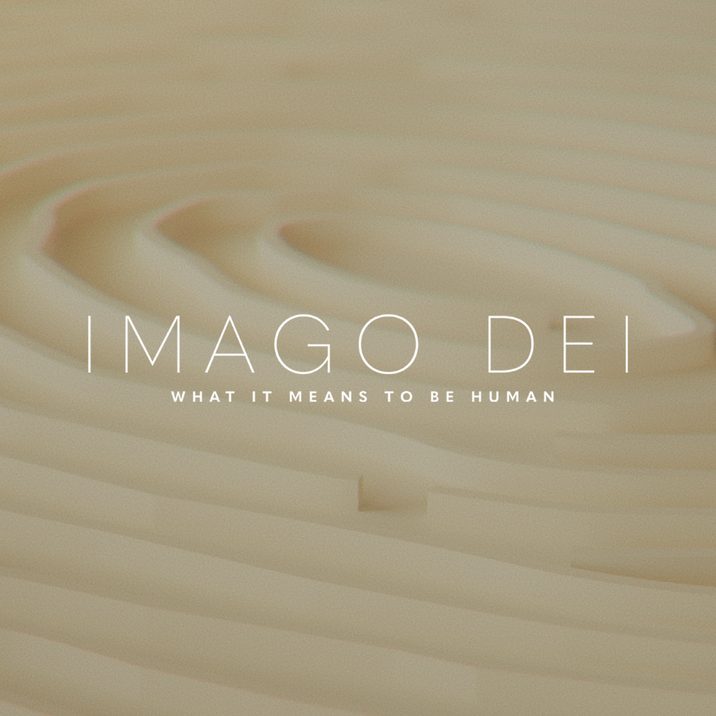 Who Knows What to Make of a Human Being?