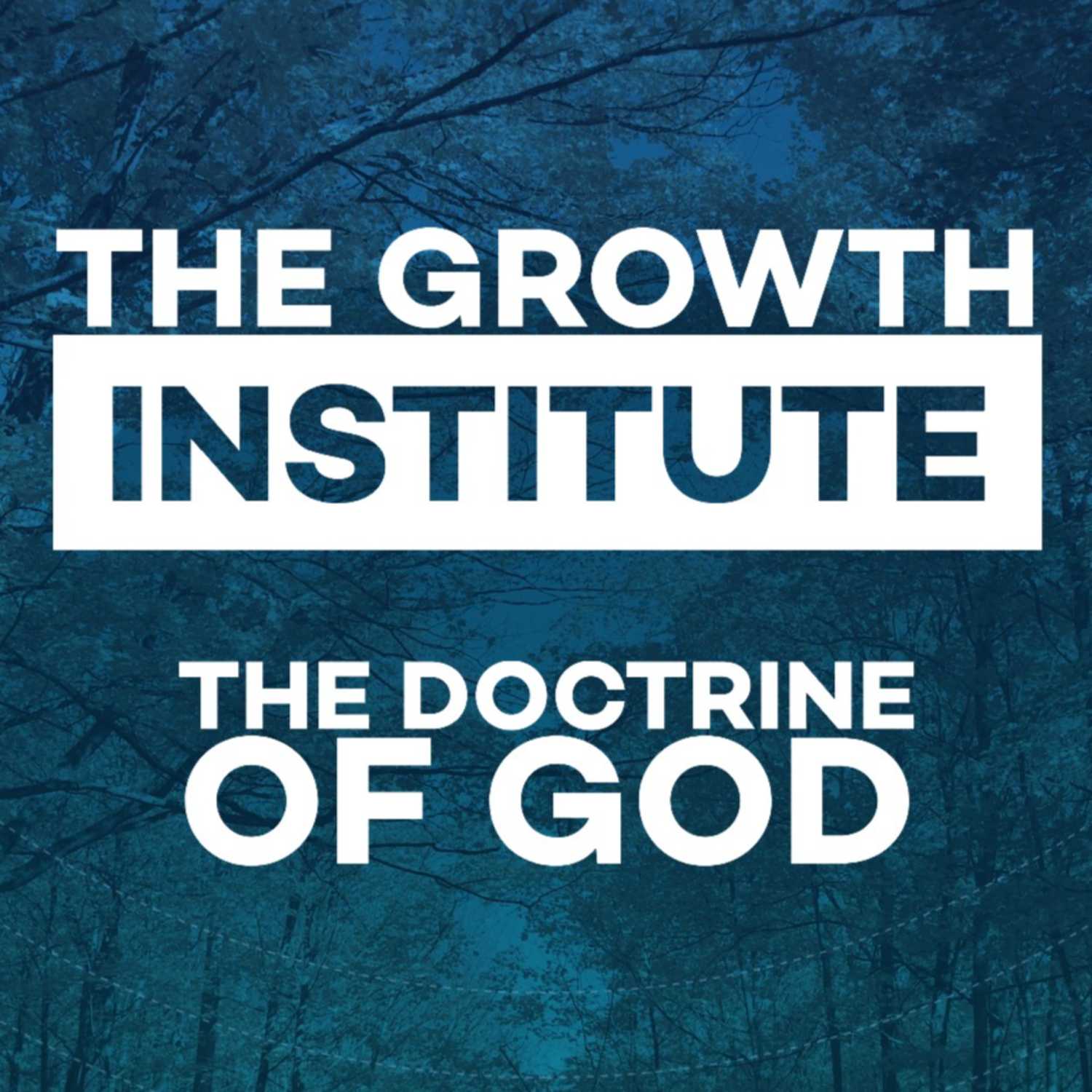 The Doctrine of the Spirit: The Divine Person of the Holy Spirit episode artwork