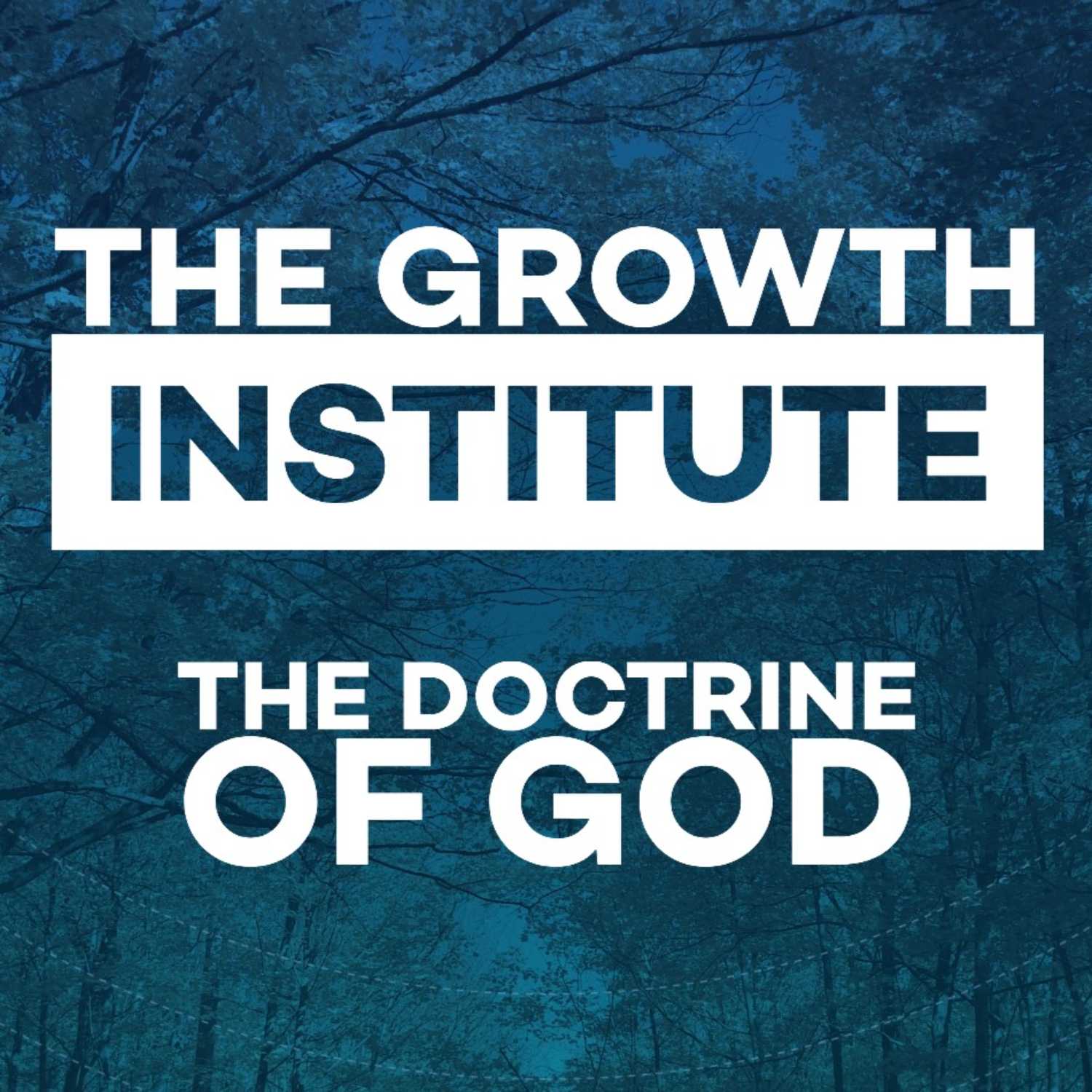 Intro to Systematic Theology and the Doctrine of God episode artwork