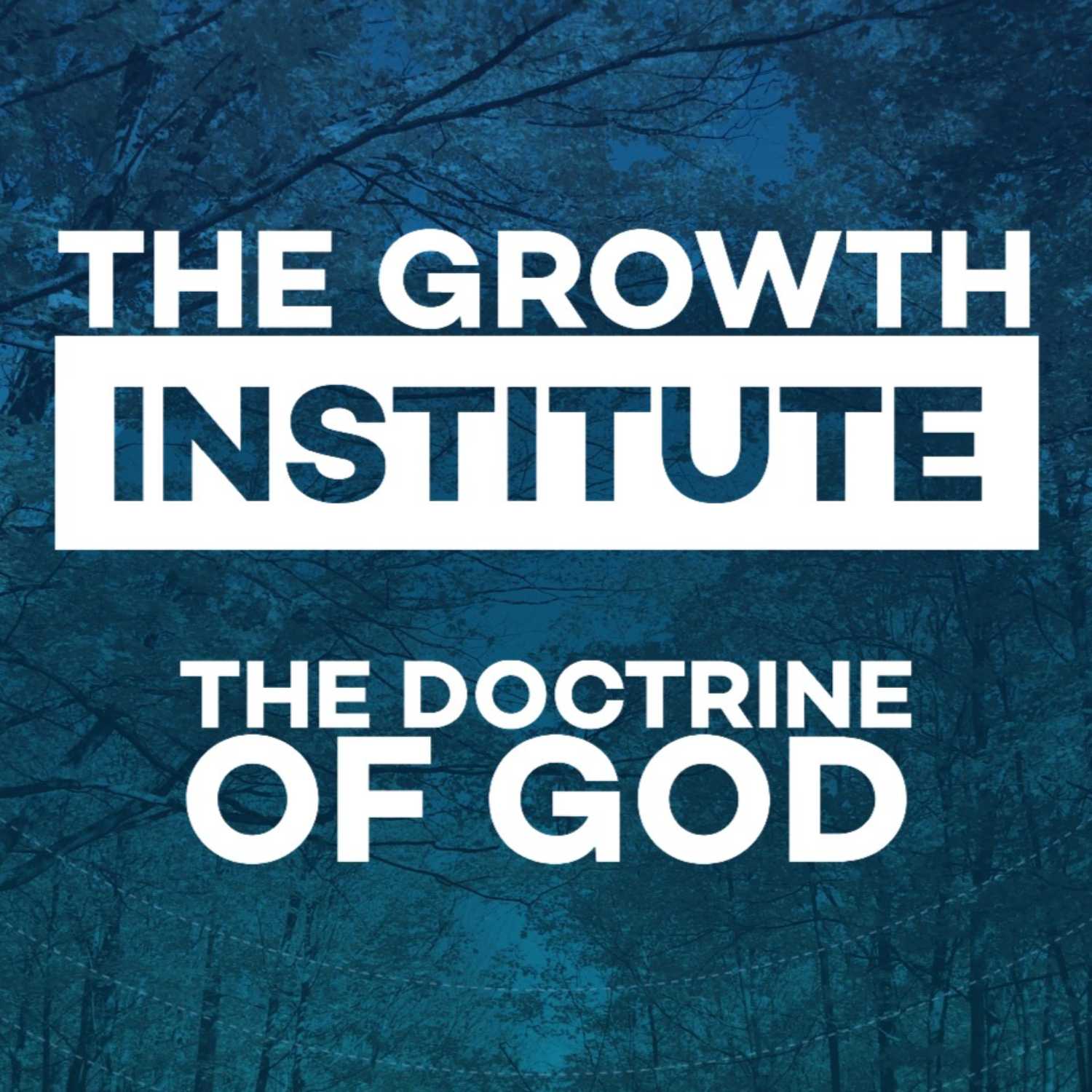 The Correct Posture in the Task of Theology: A Heart of Humility and Worship episode artwork