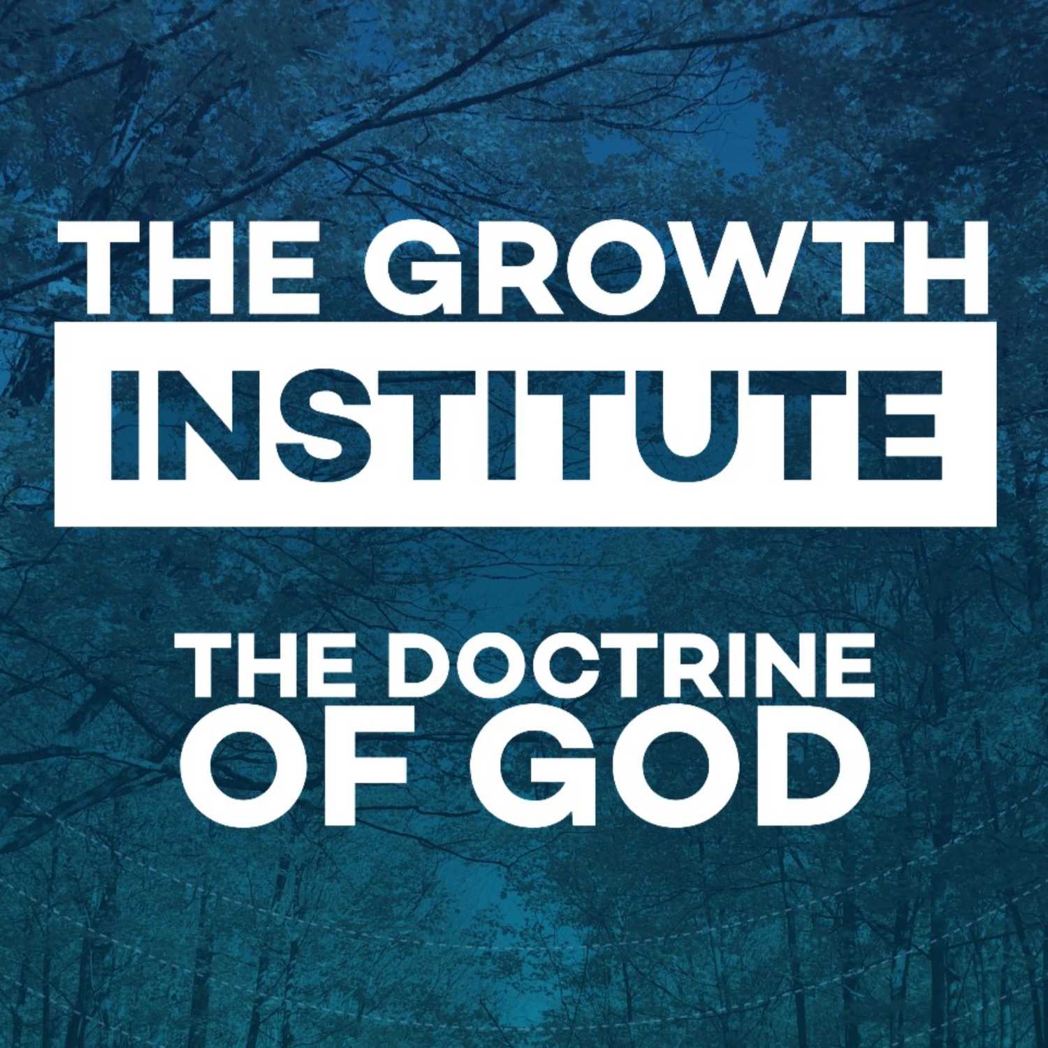 The Ontological Trinity: The Essence and Attributes of the Father, Son, and Spirit episode artwork