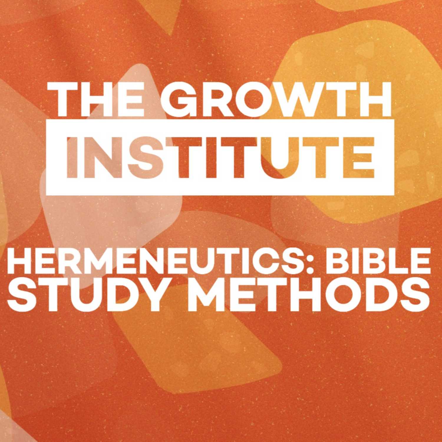 Bible Translations and Interpretation episode artwork