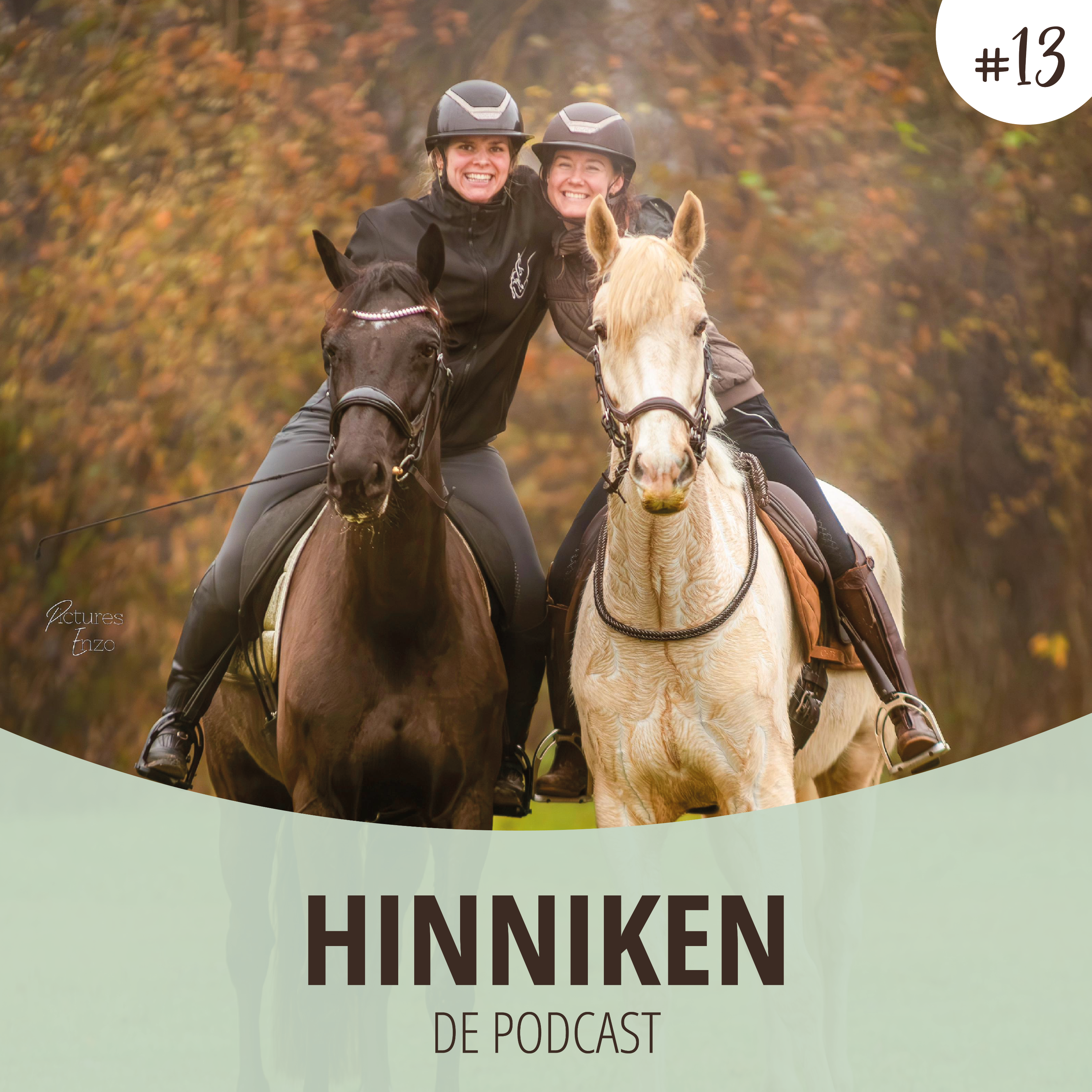 Hinniken de Podcast