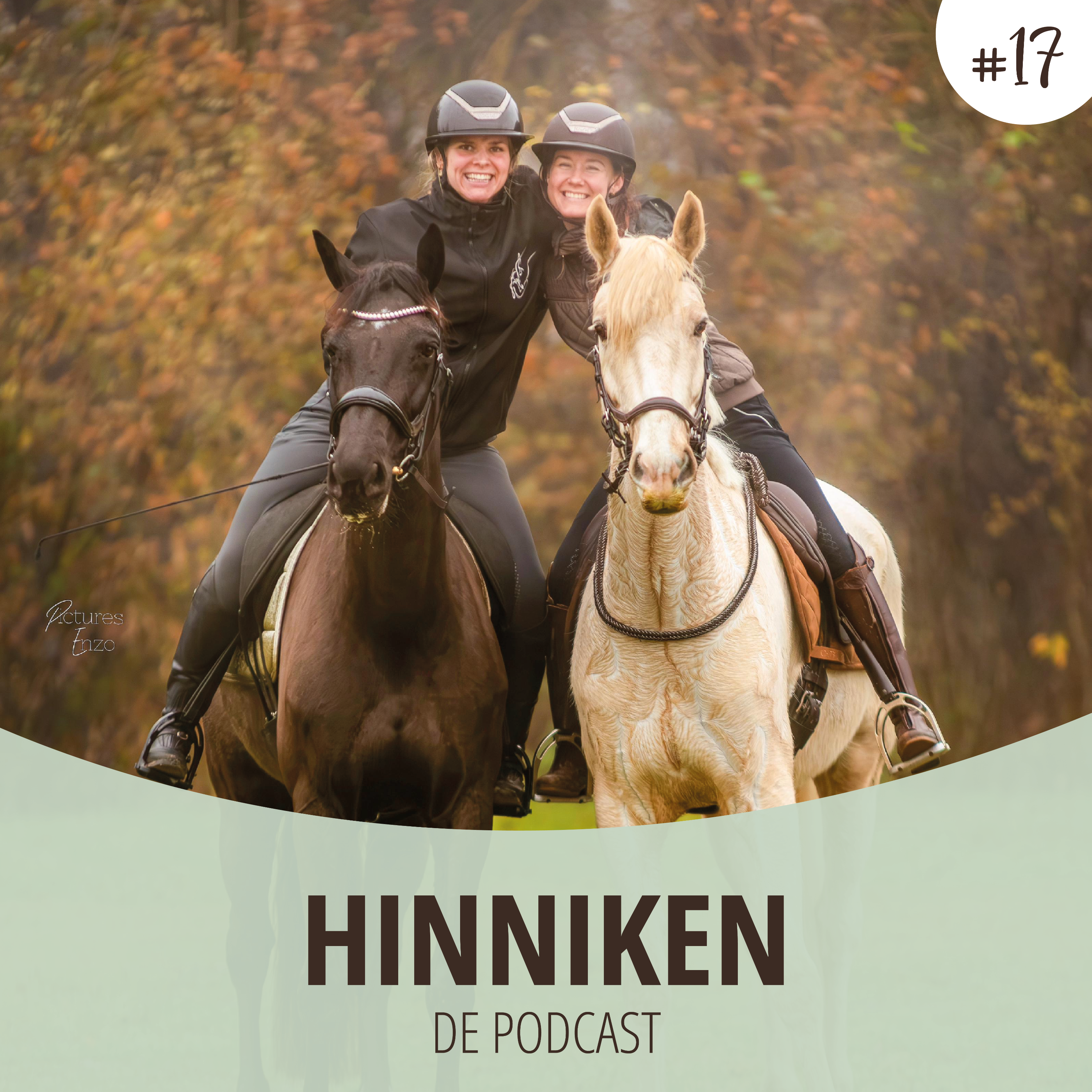 Hinniken de Podcast